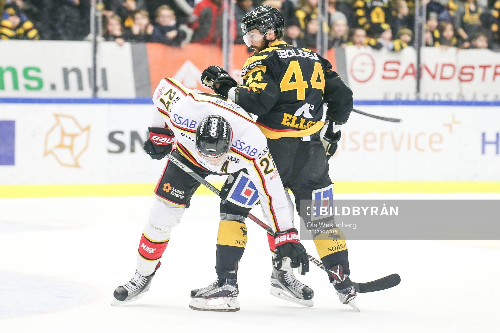 Skellefteås Morgan Ellis
