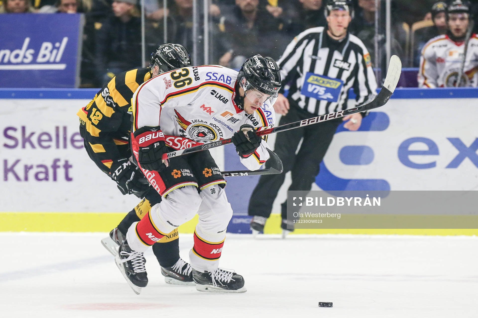 Skellefteås Adam Pettersson