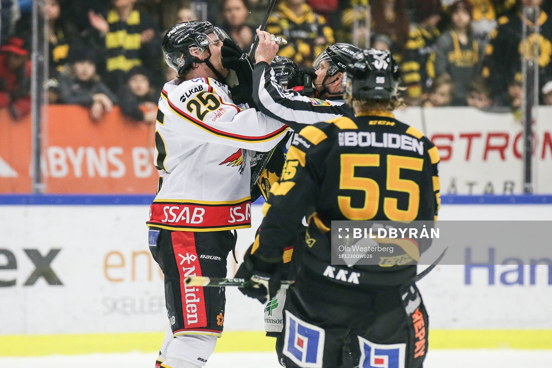 Skellefteås Mark Katic och Michael Kostka