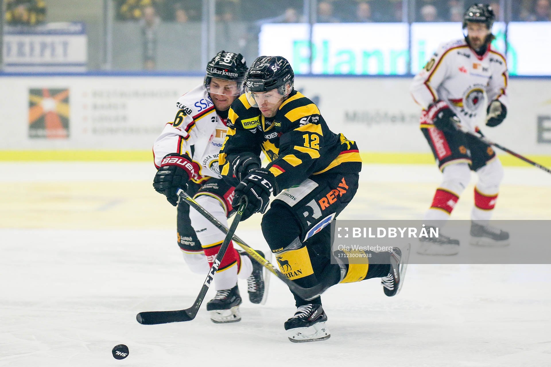 Skellefteås Adam Pettersson