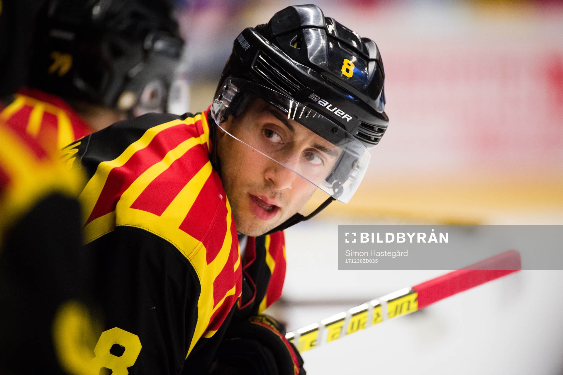 Brynäs Aaron Palushaj