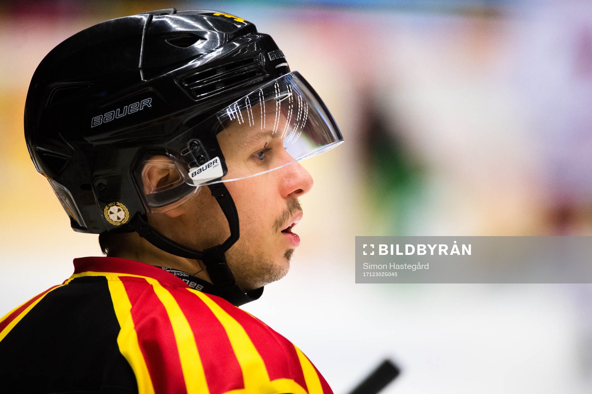 Brynäs Elias Fälth
