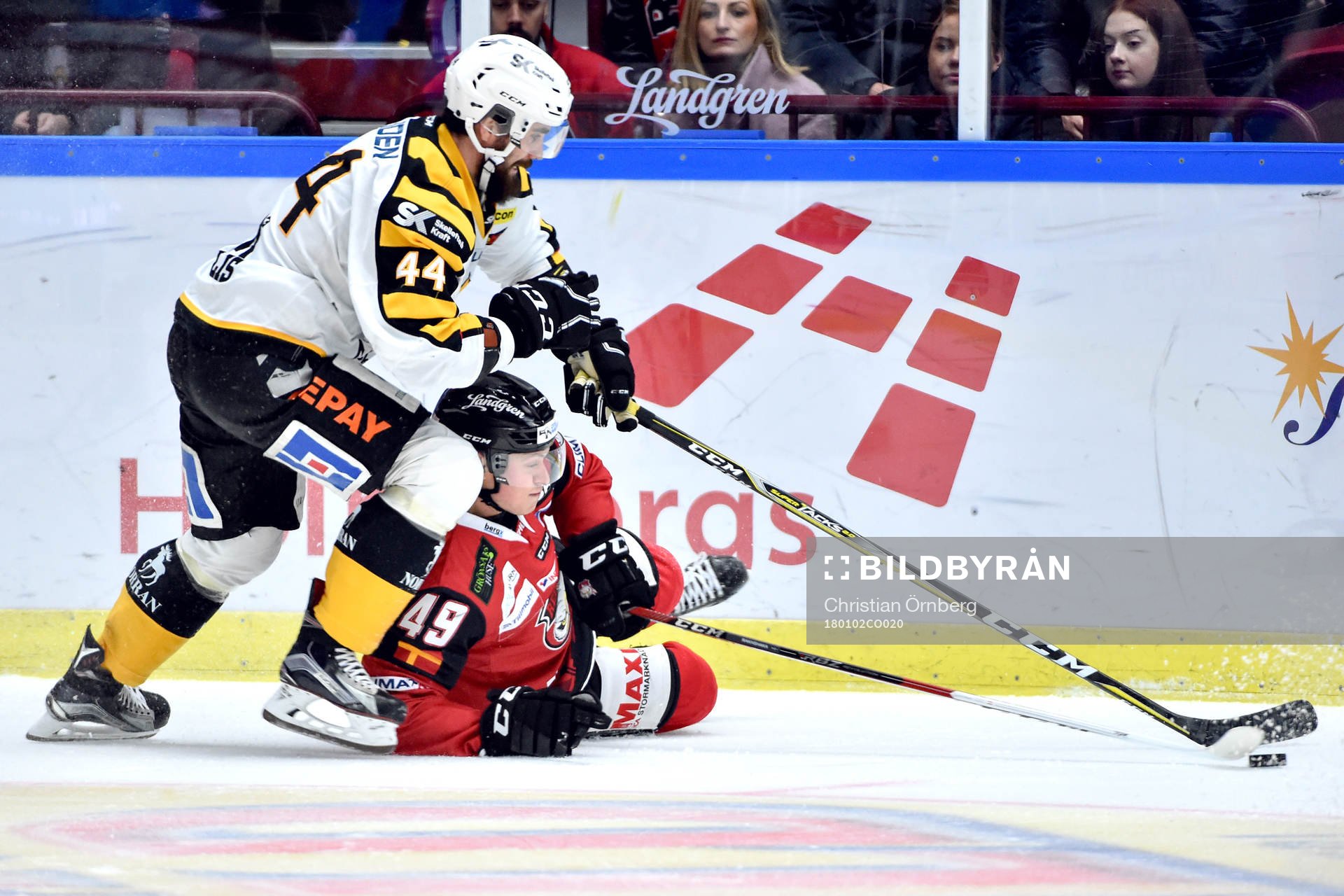Skellefteås Morgan Ellis och Malmö Redhawks Rhett