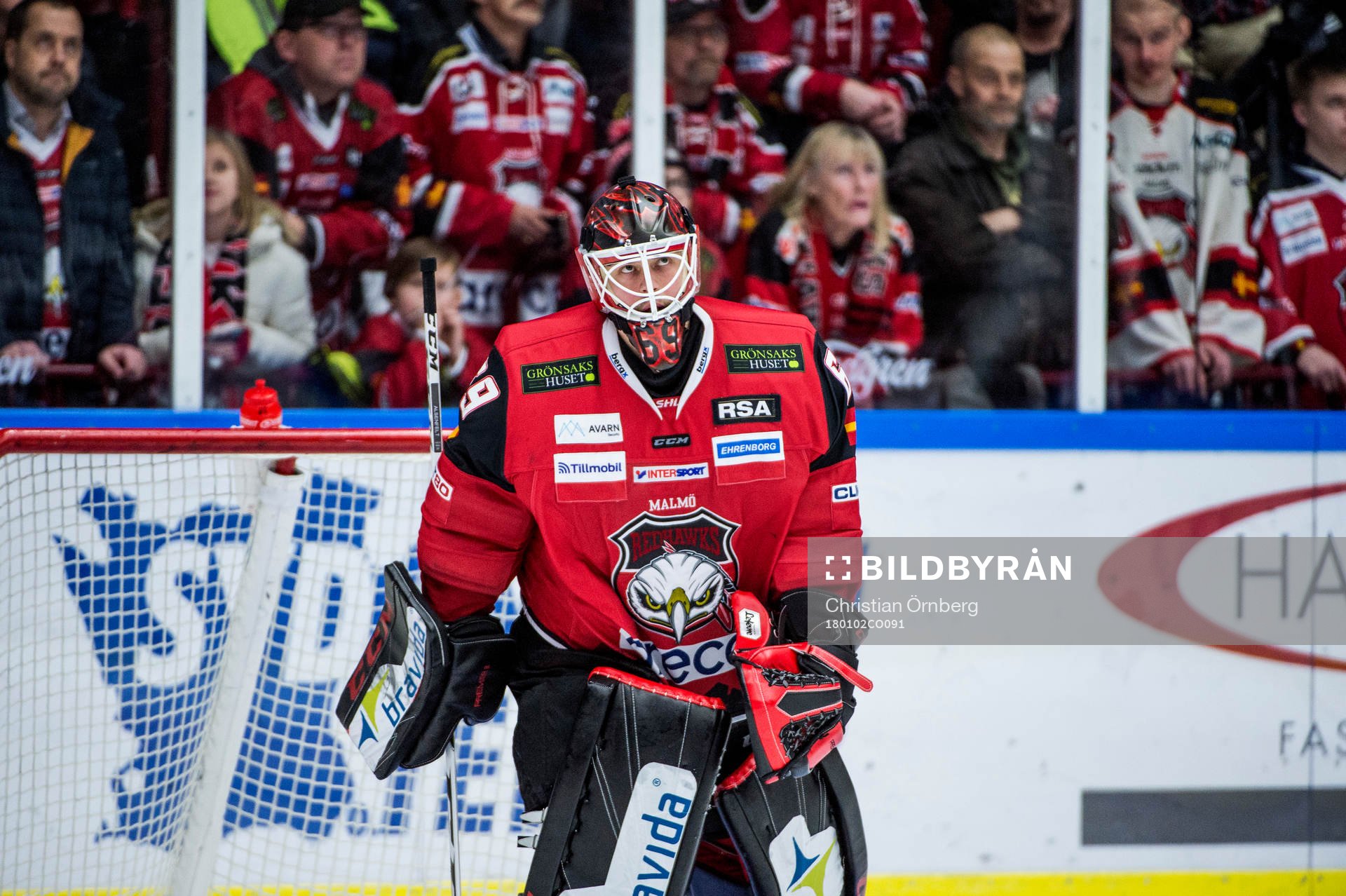 Malmö Redhawks målvakt Oscar Alsenfelt deppar när han