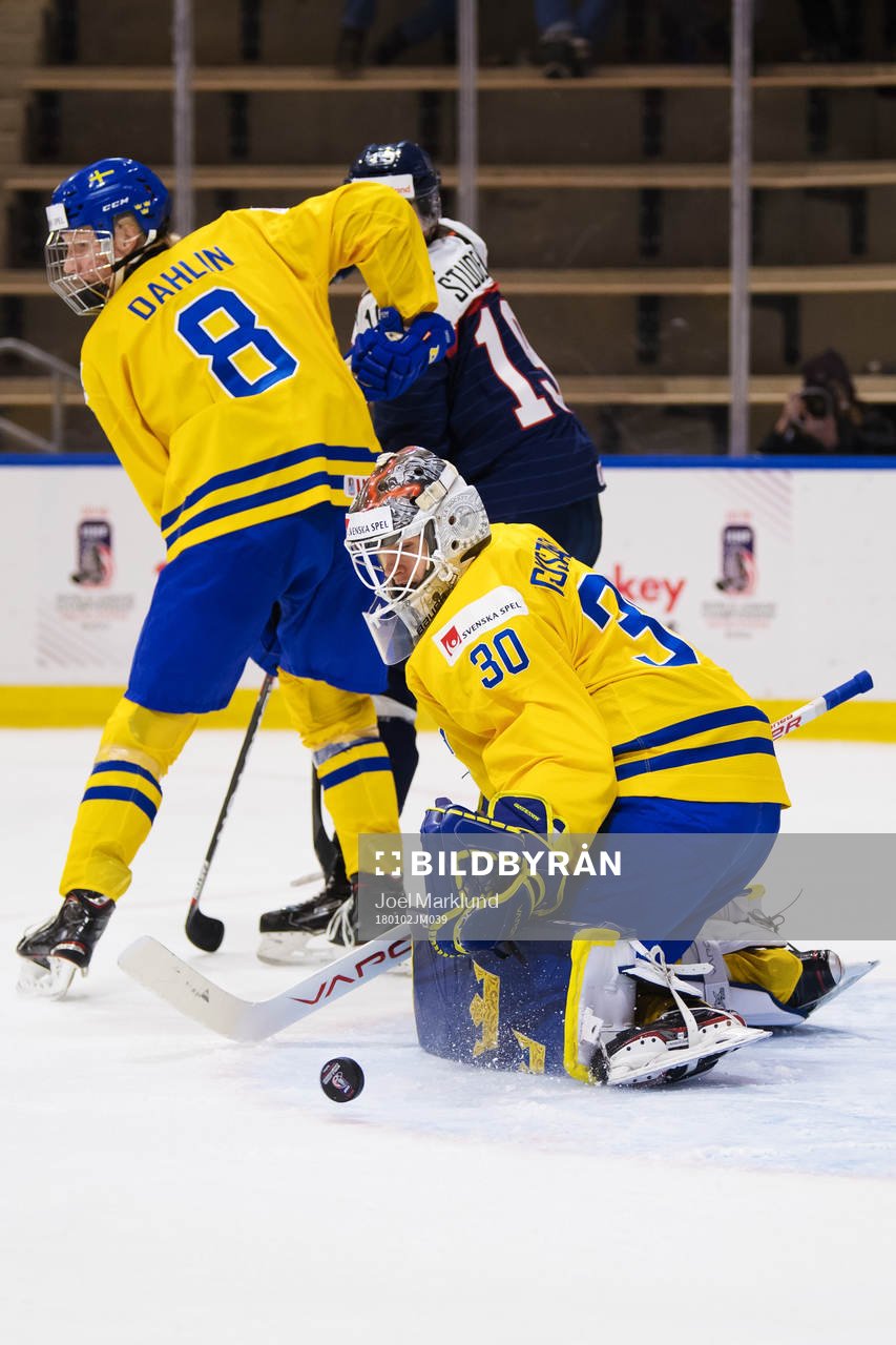 Sveriges Rasmus Dahlin och målvakt Filip Gustavsson