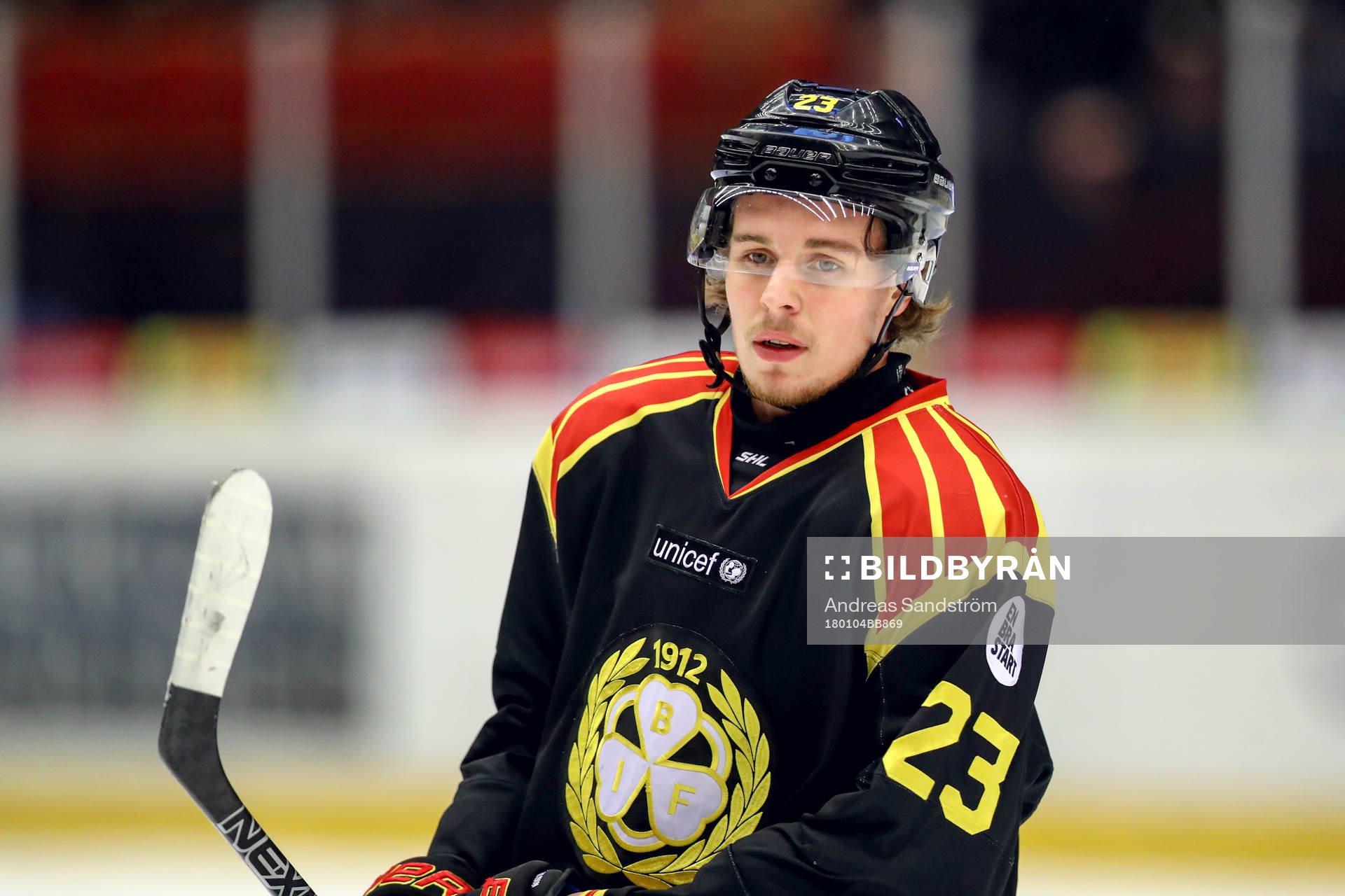 Brynäs Lucas Carlsson
