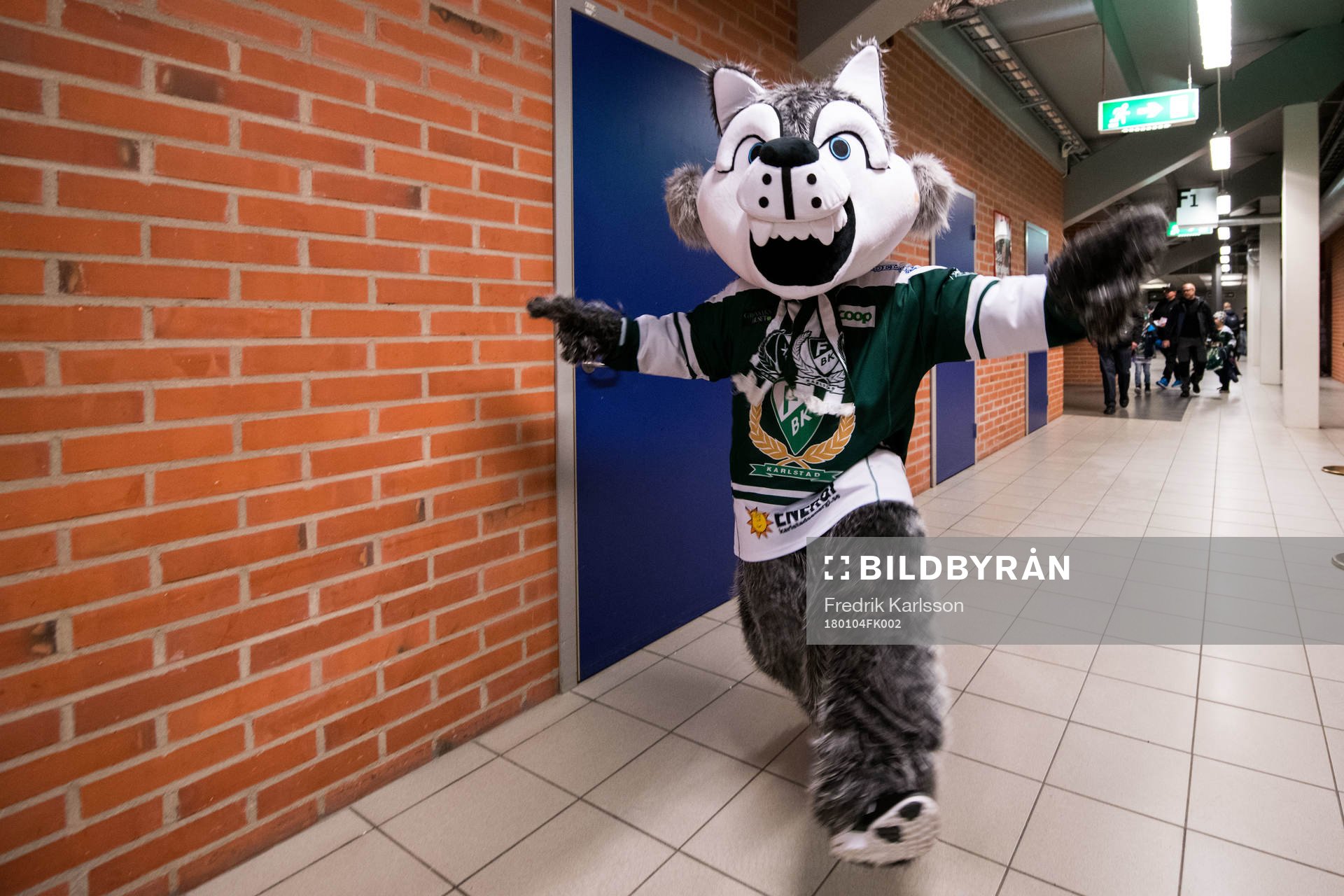 Färjestads maskot Ture Varg innan ishockeymatchen i SHL