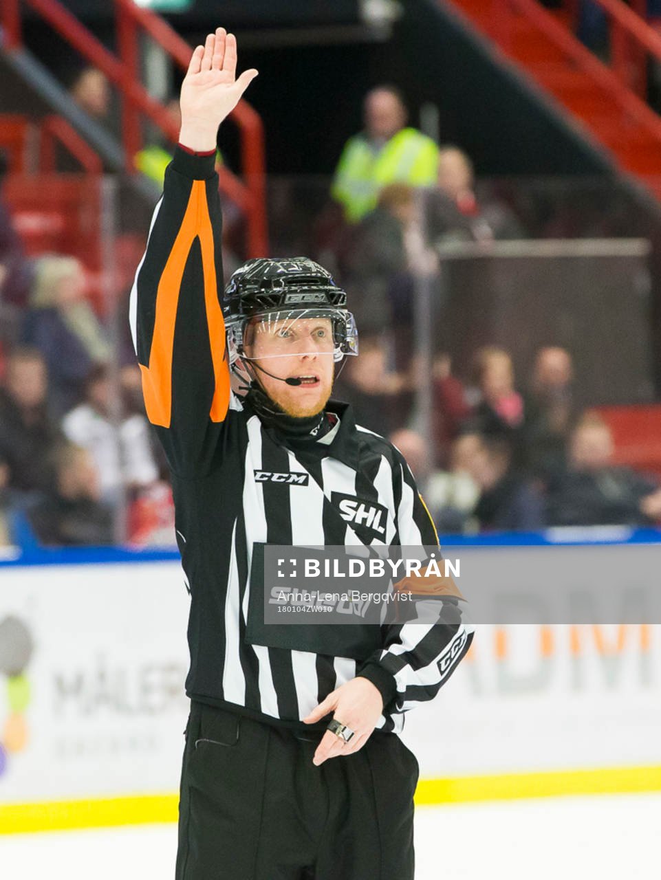 Domare Mikael Holm