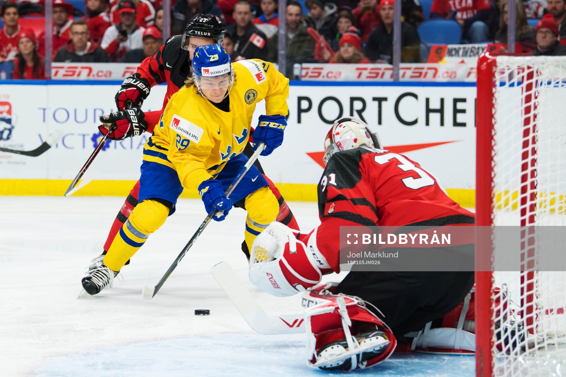 Sveriges Oskar Steen utmanar Kanadas målvakt Carter Hart