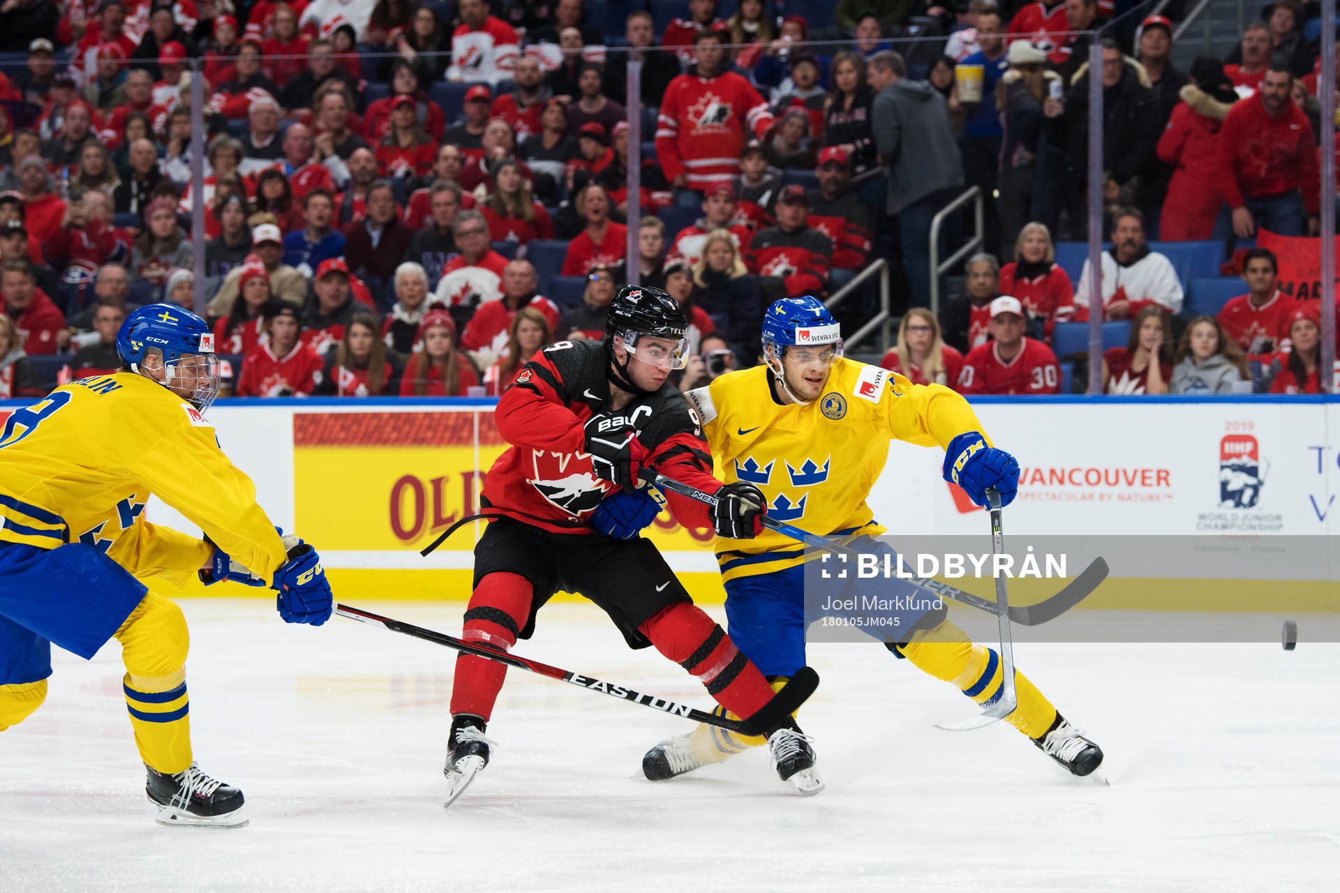 Sveriges Rasmus Dahlin och Timothy Liljegren lyckas inte