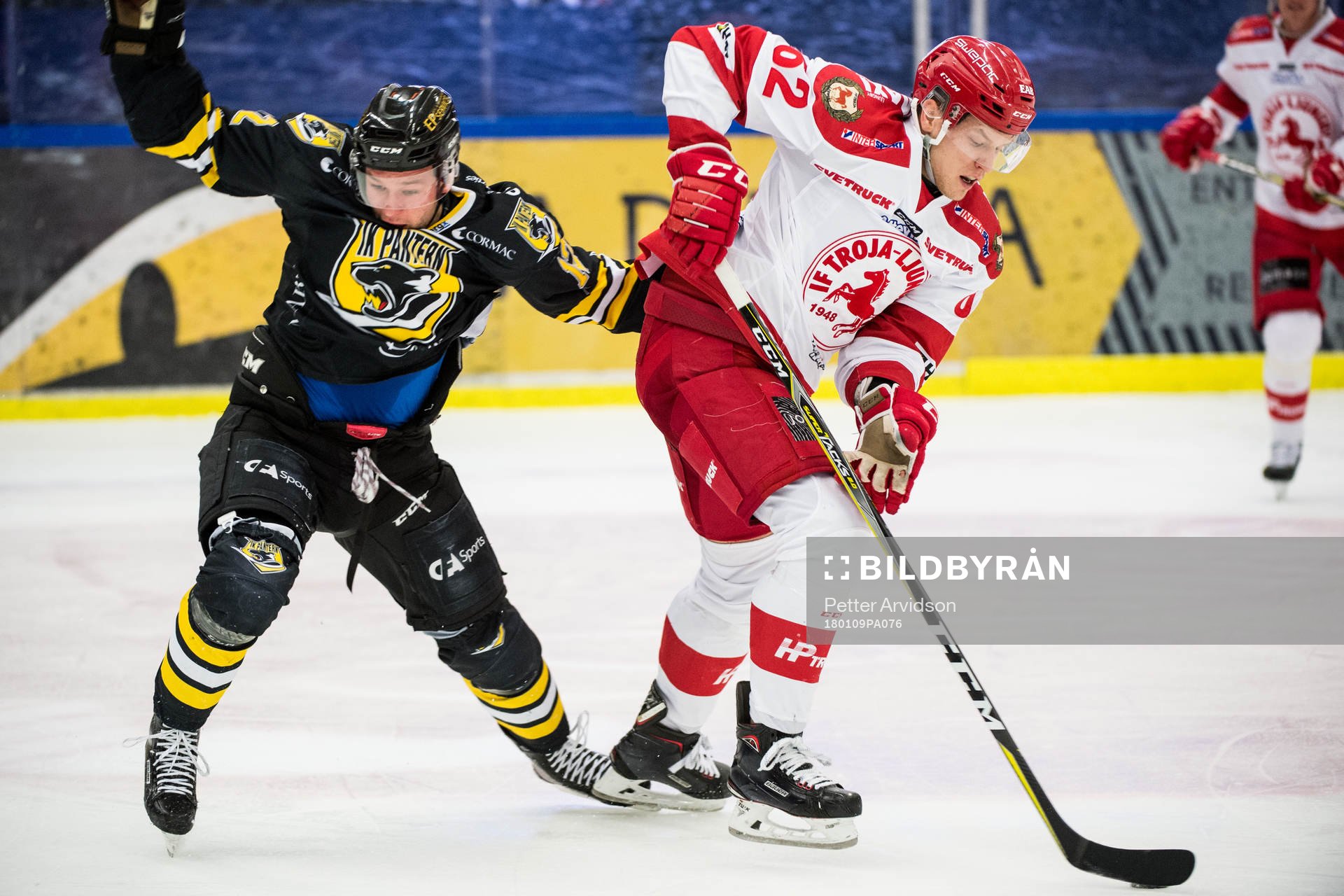 Panterns Robin Dahse och Trojas Tor Immo