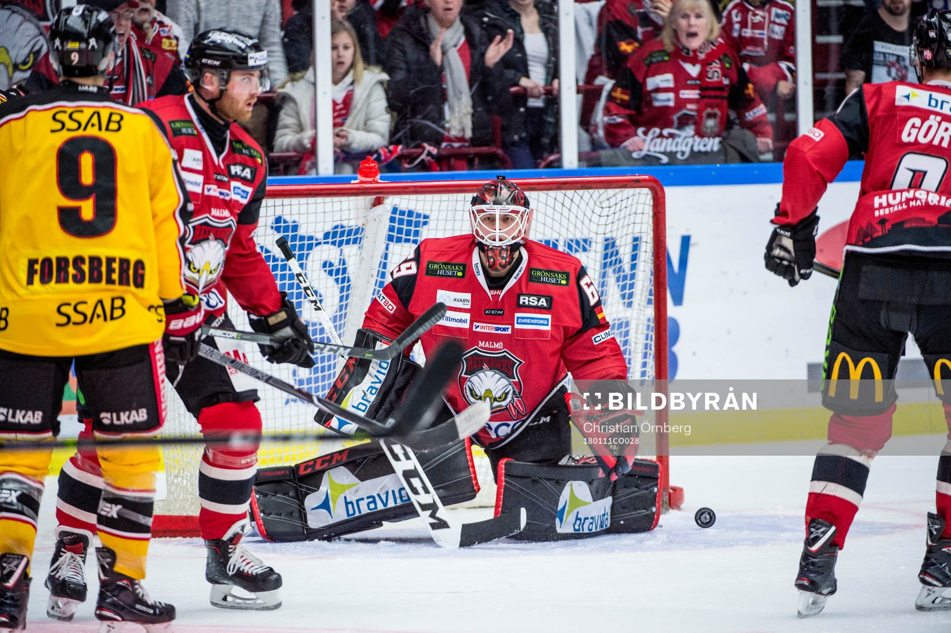 Malmö Redhawks målvakt Oscar Alsenfelt deppar