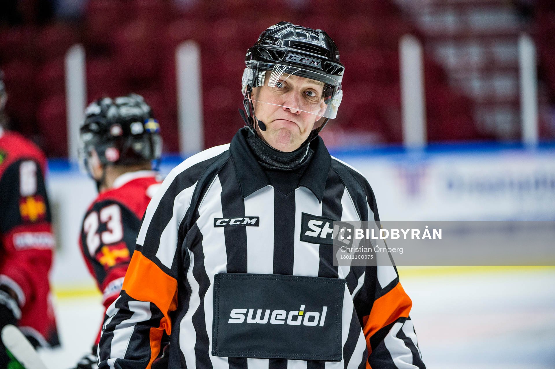 Domaren Morgan Johansson