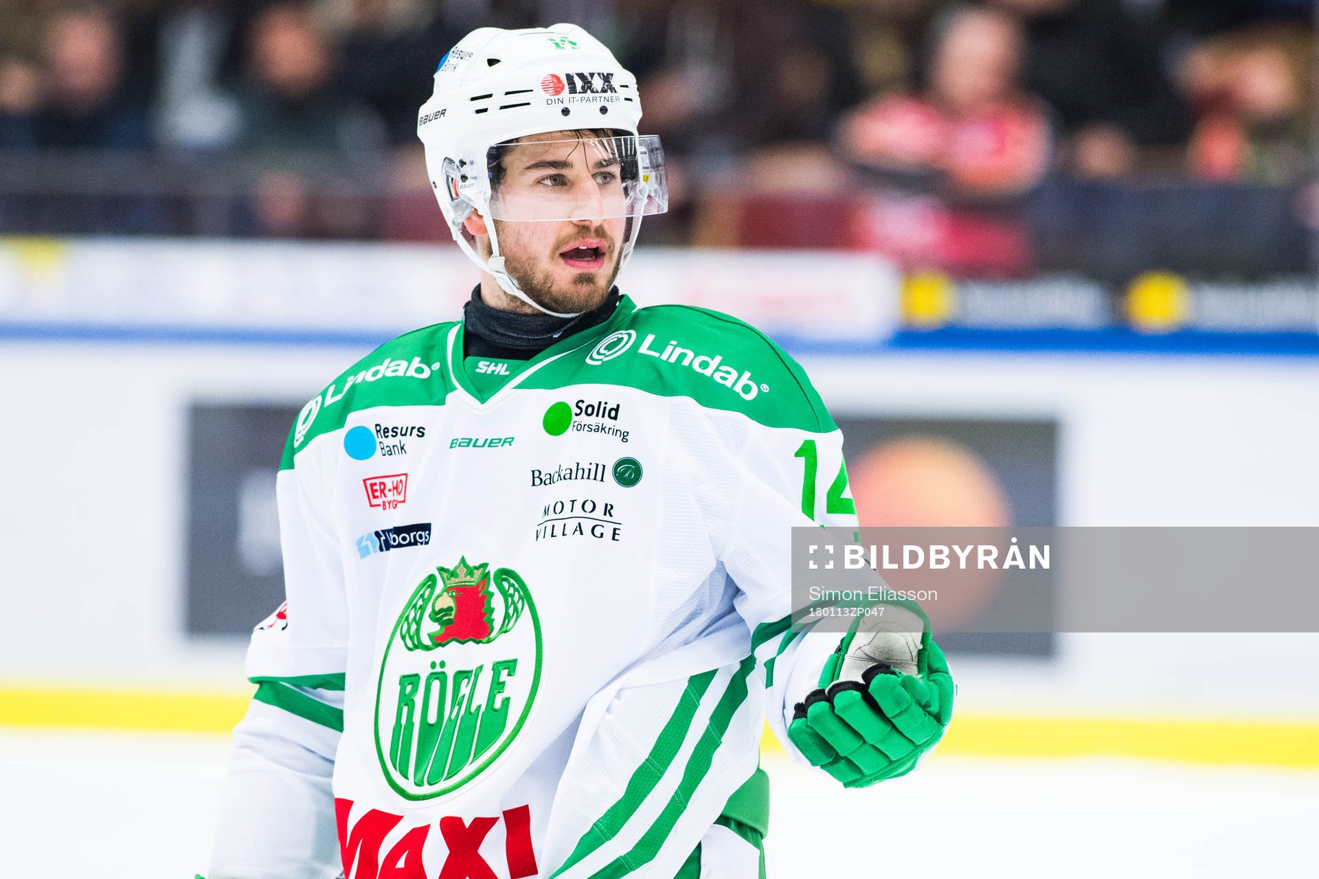 Rögles Stephen Perfetto