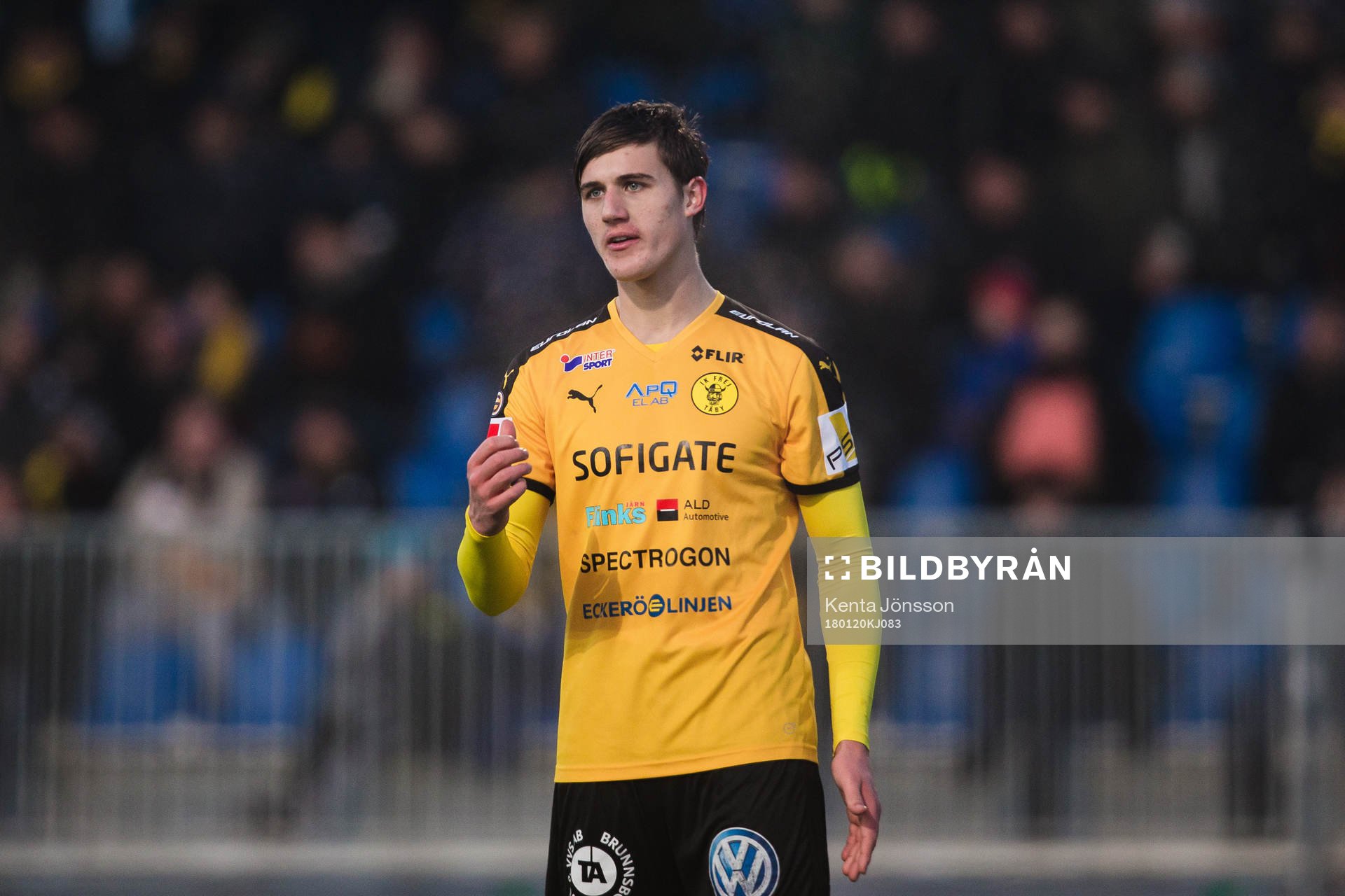 Frejs Alfred Sigemo