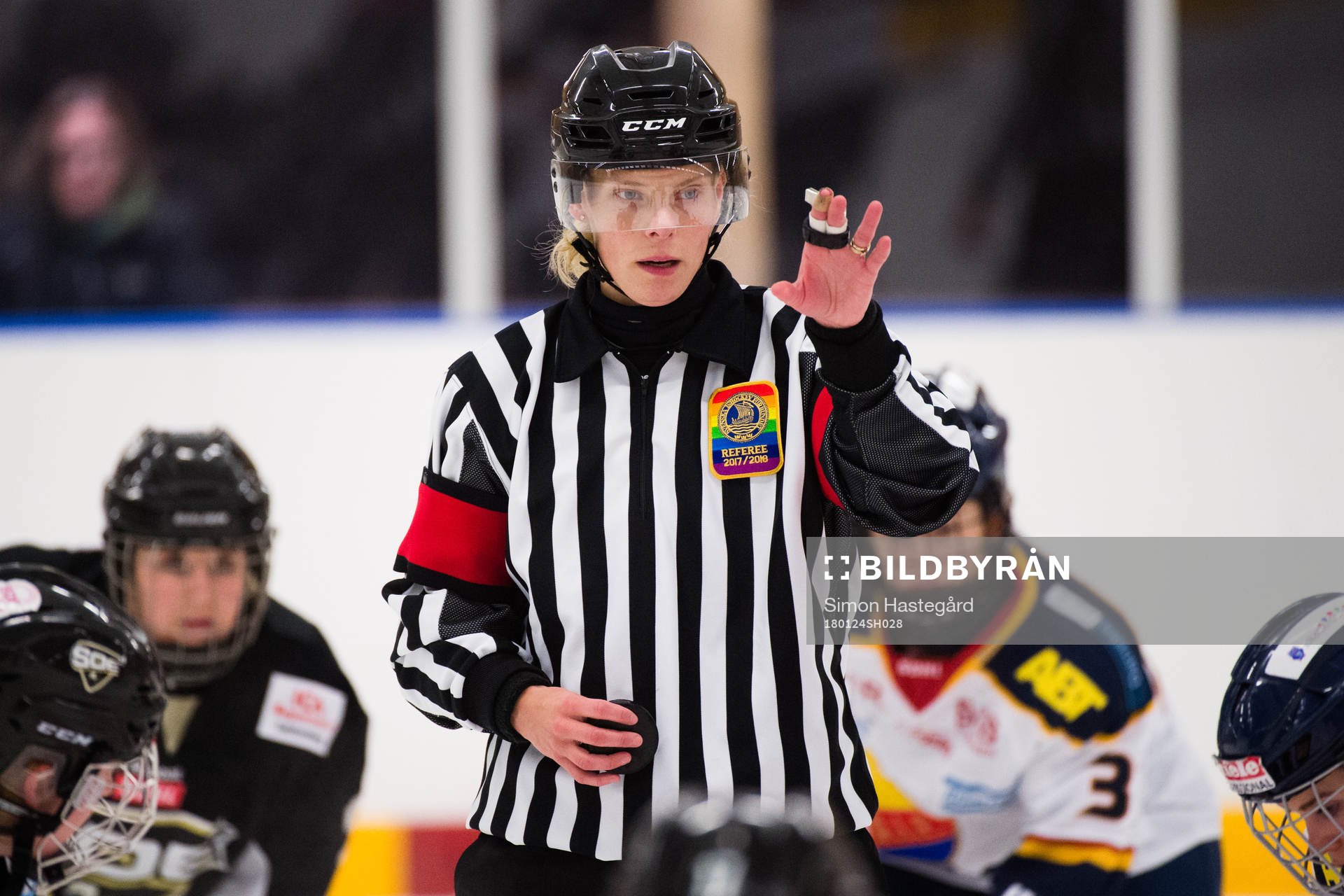 Domare Katarina Timglas