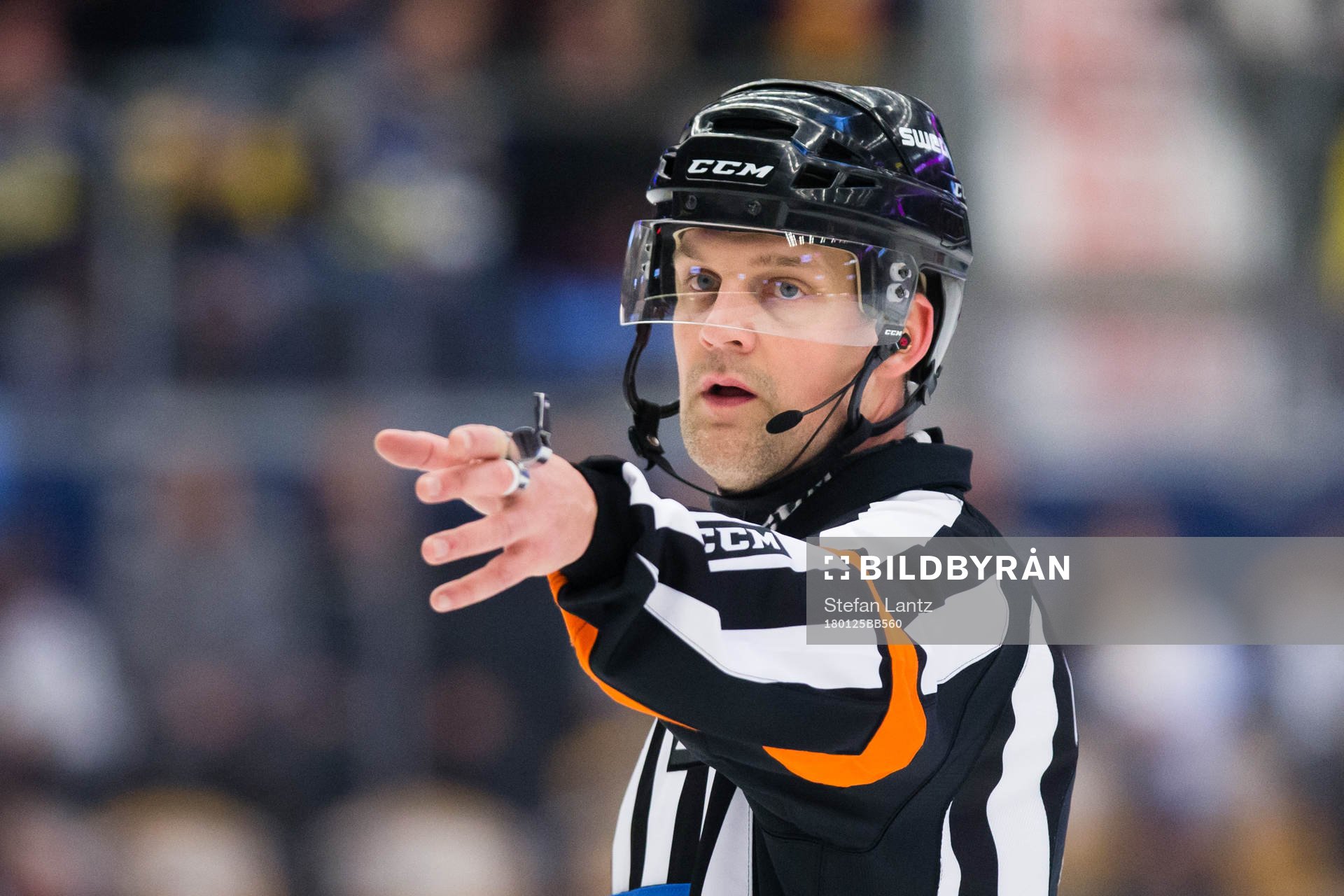 Domaren Mikael Nord