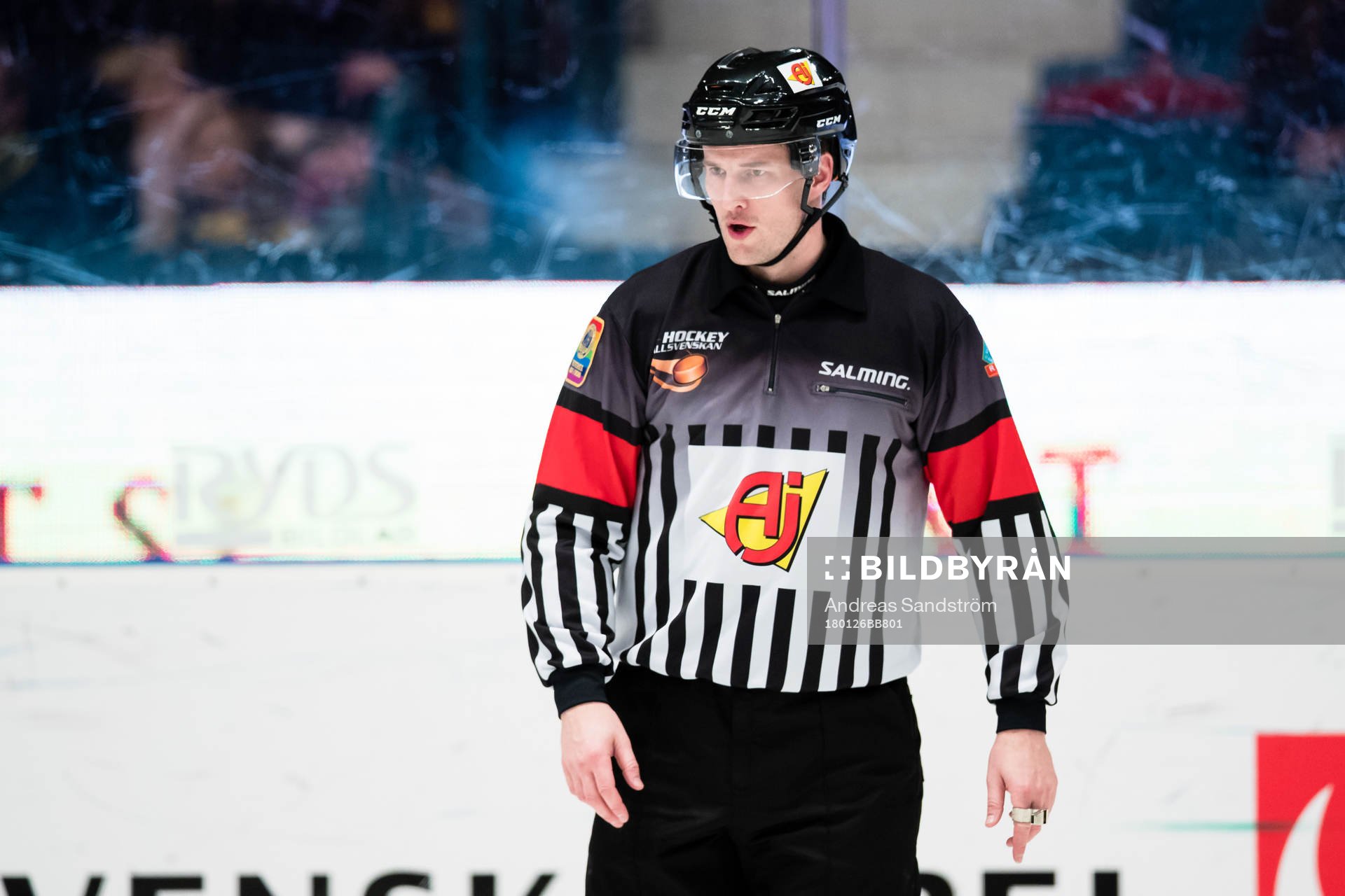 Domare Thomas Andersson