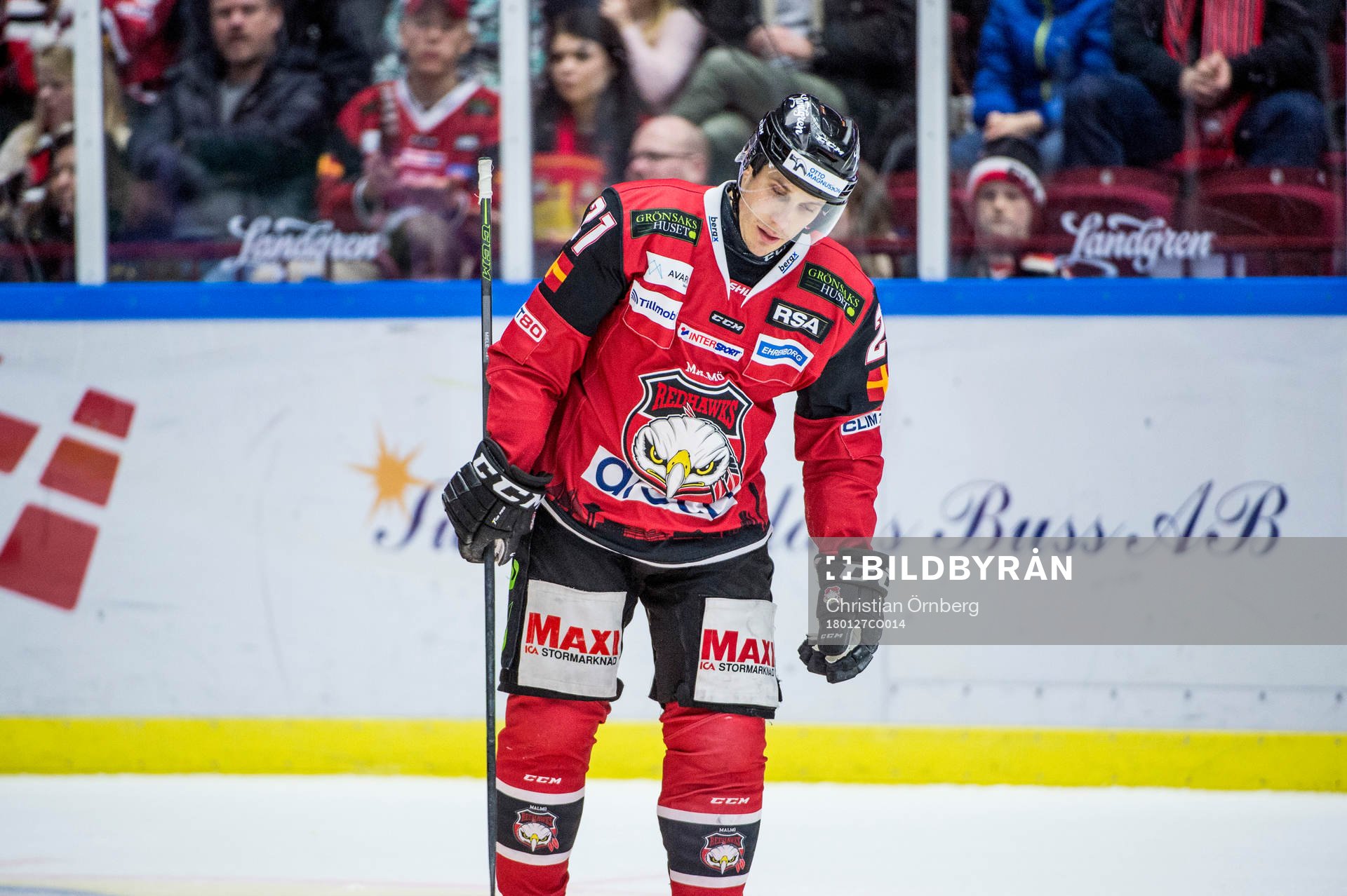 Malmö Redhawks Andy Miele deppar