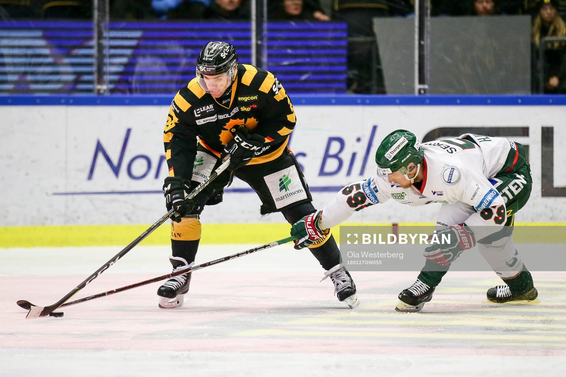 Skellefteås Matt Anderson