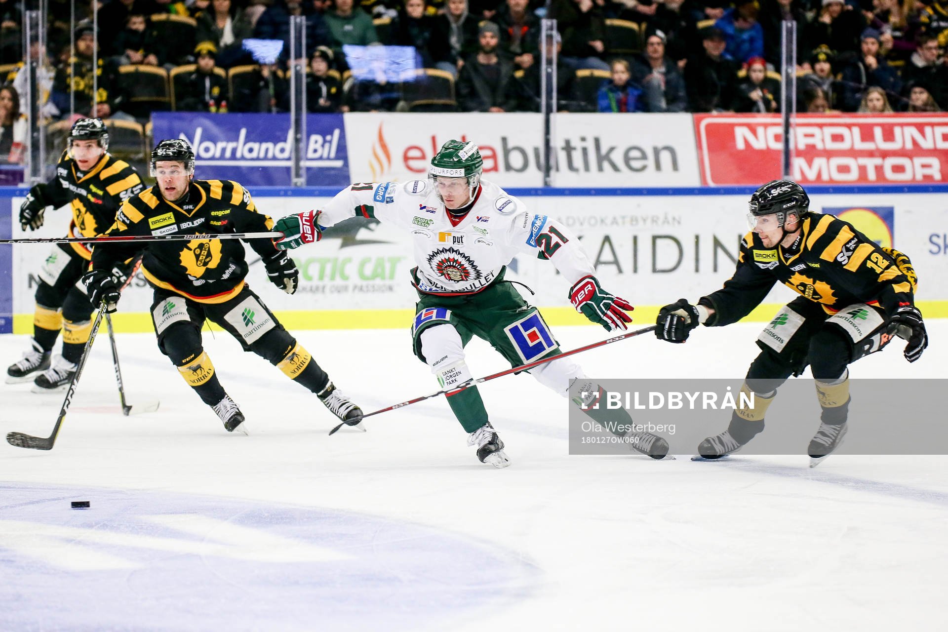 Skellefteås Adam Pettersson och Mark Katic