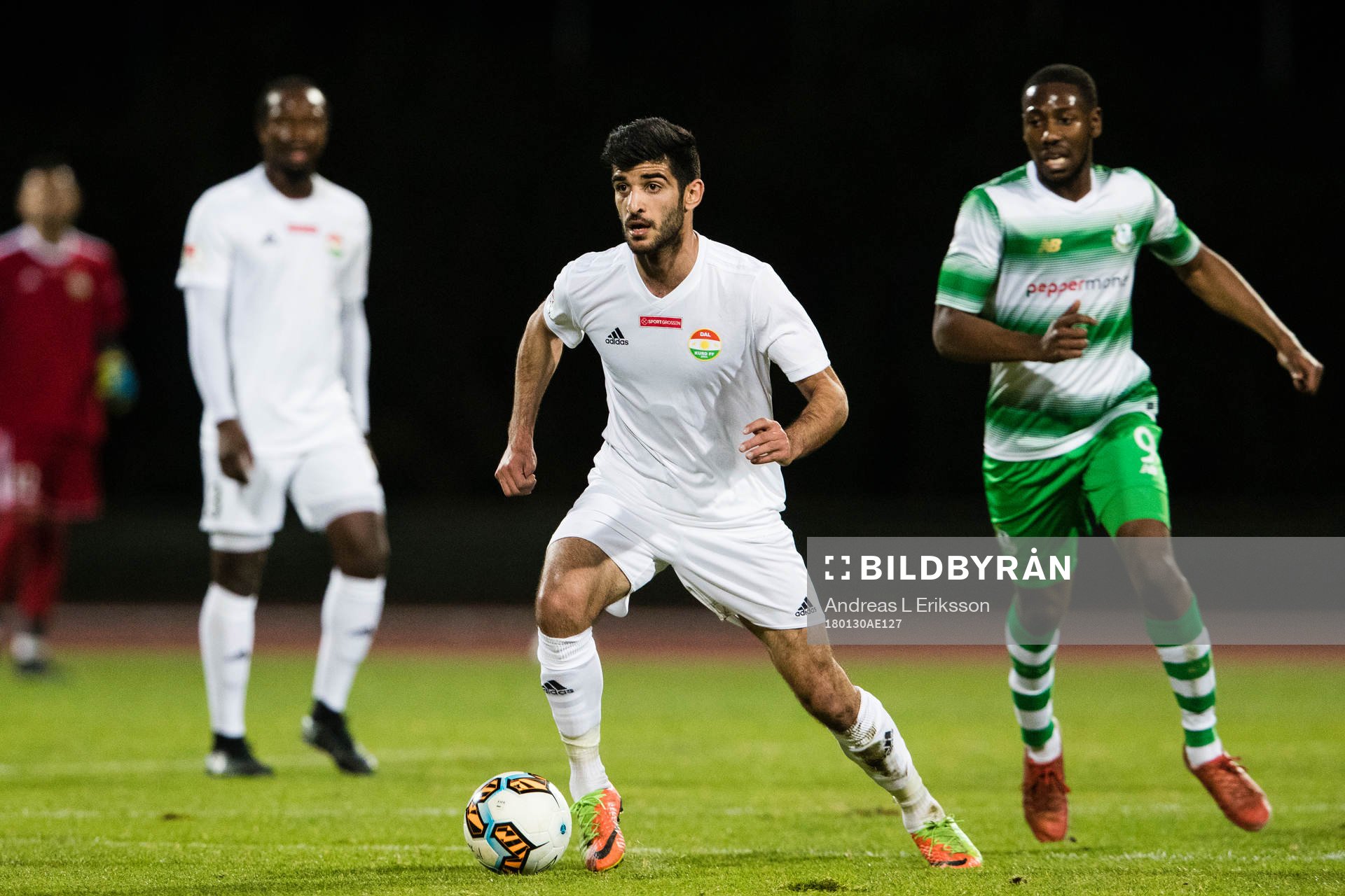 Dalkurds Rewan Amin