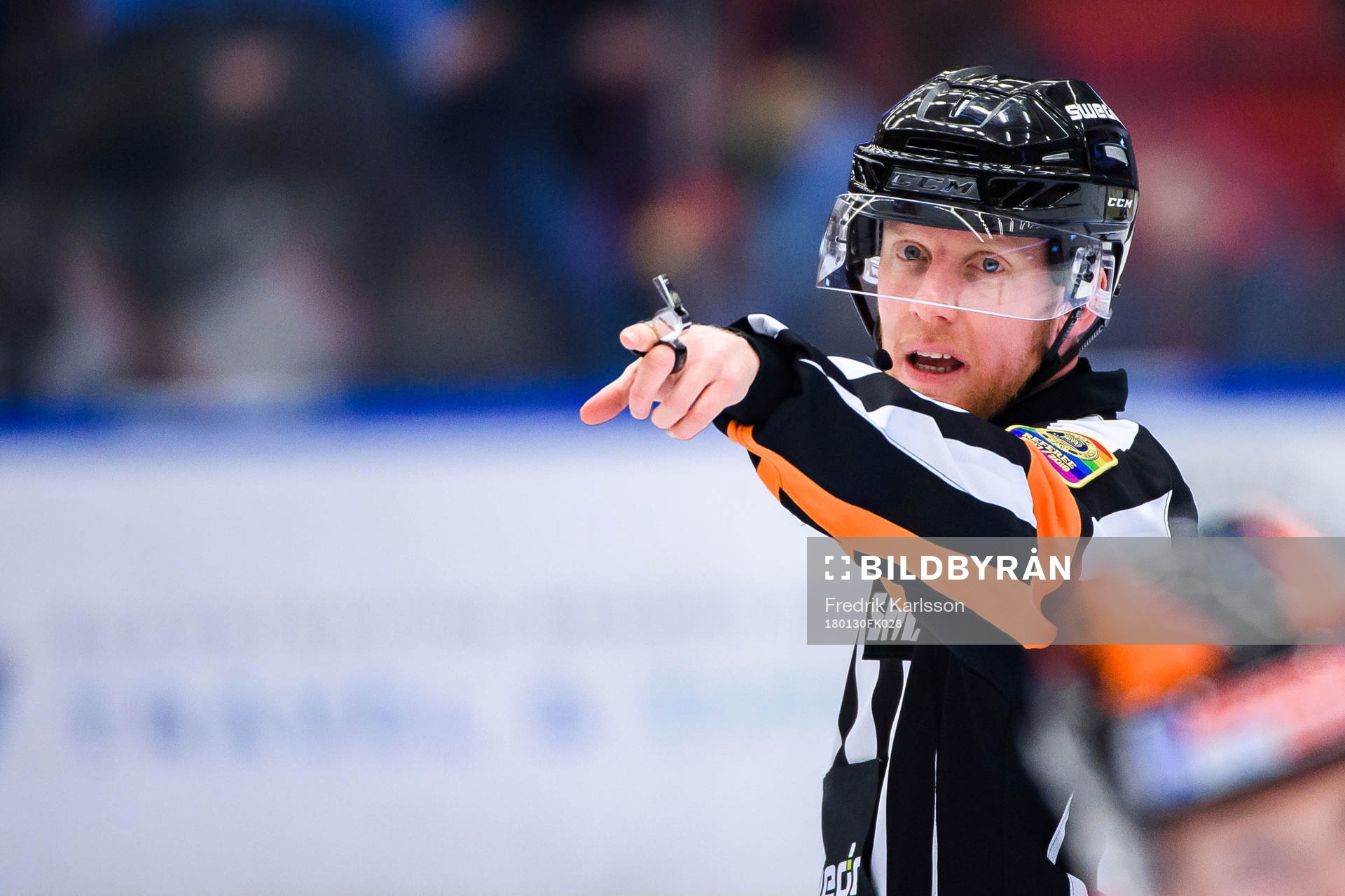 Domare Mikael Holm