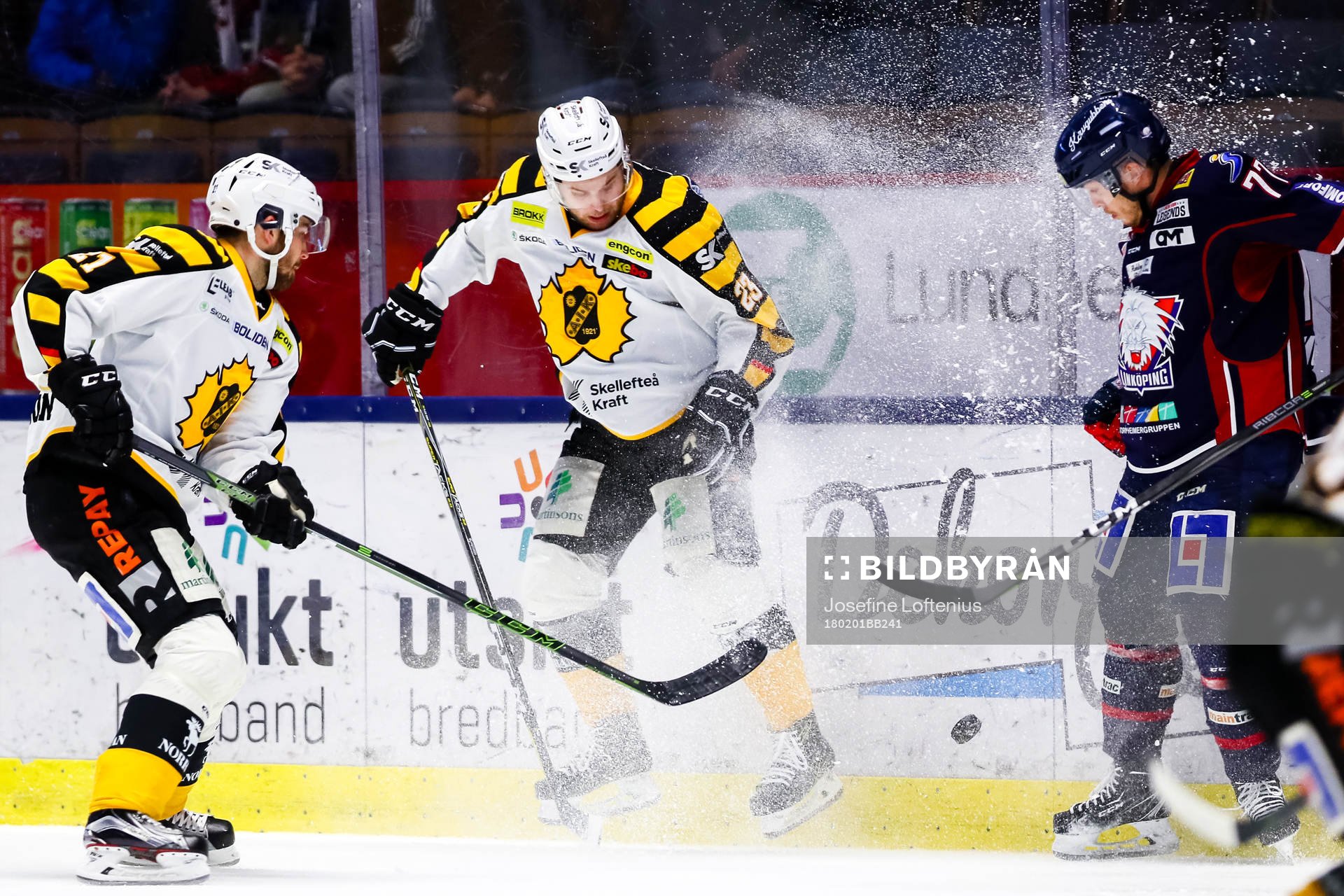 Skellefteås Mark Katic