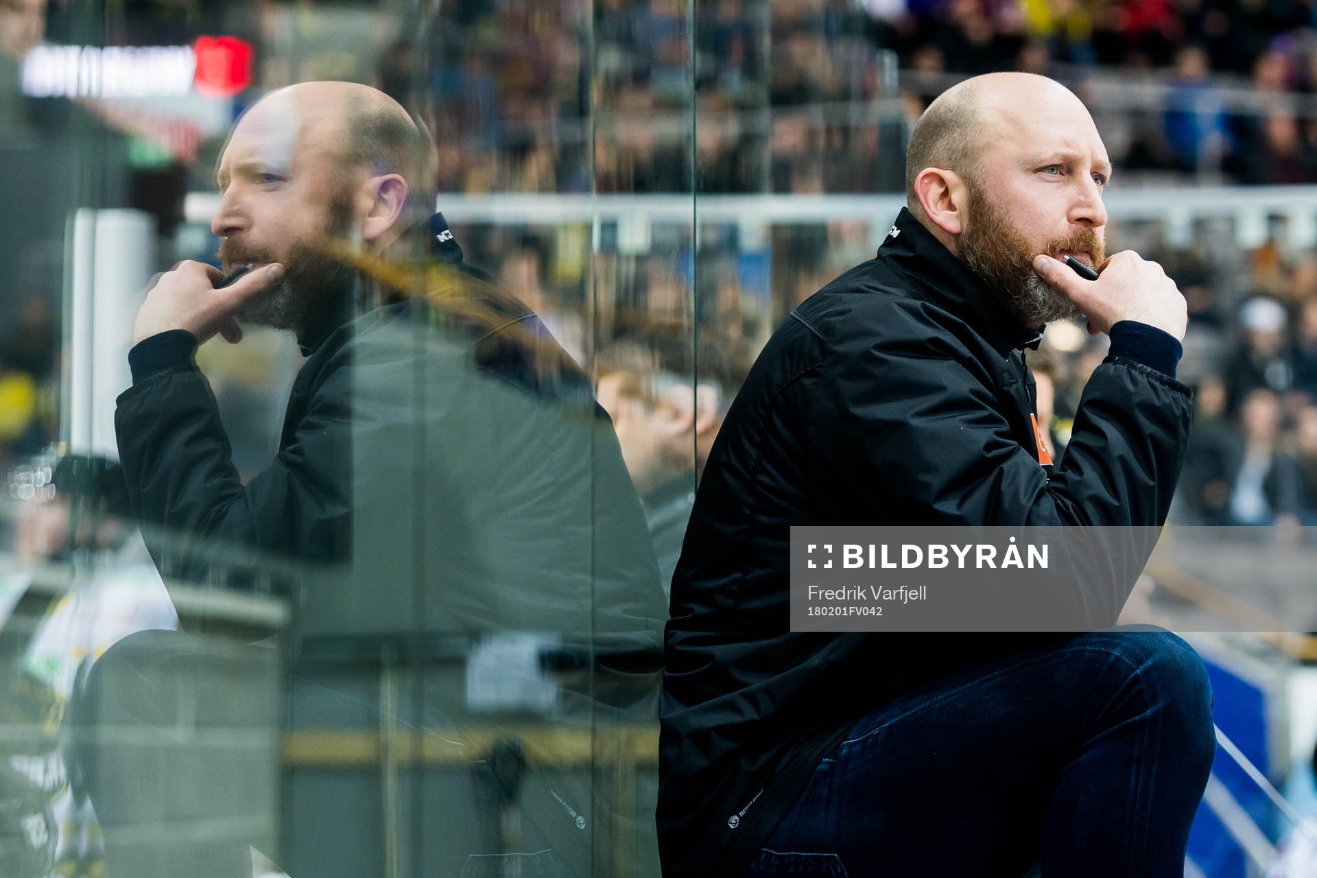 Pål Kristian Gulbrandsen, head coach of Stavanger Oilers