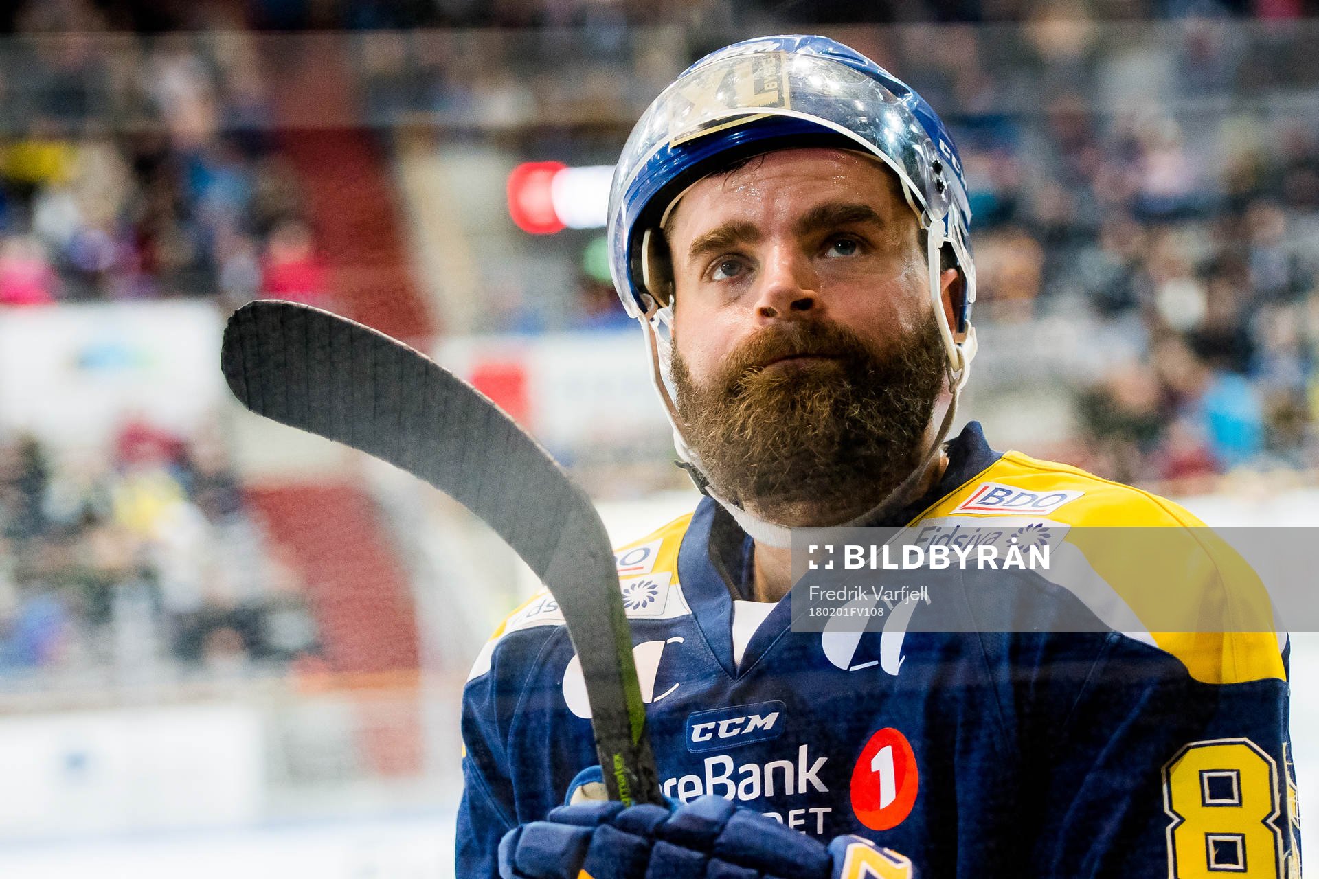 Lars Erik Hesbråten of Storhamar