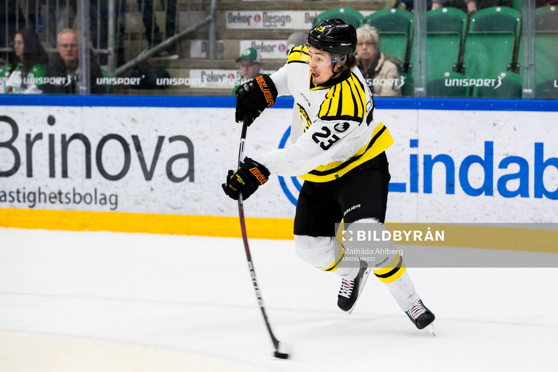 Brynäs Lucas Carlsson
