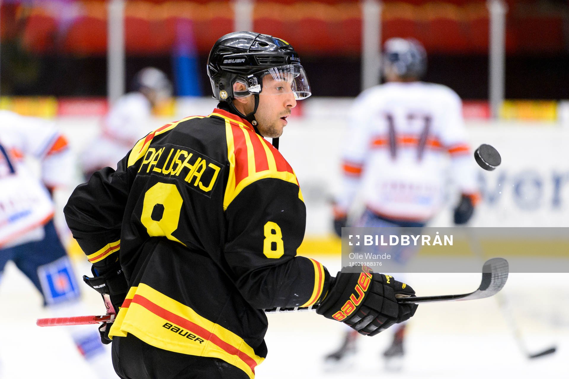 Brynäs Aaron Palushaj jonglerar