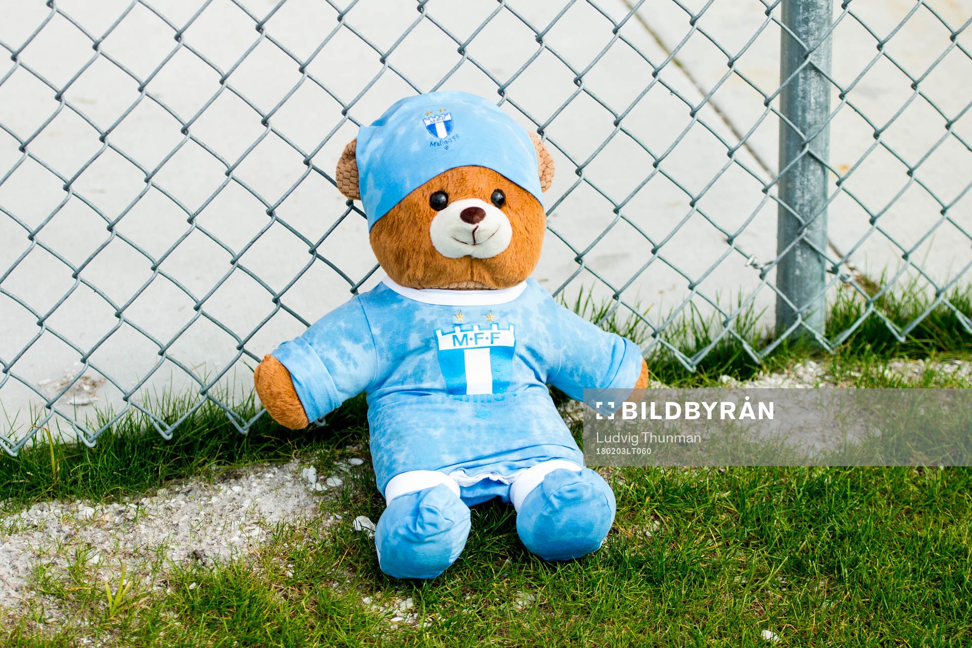En teddybjörn i Malmö FFs dress