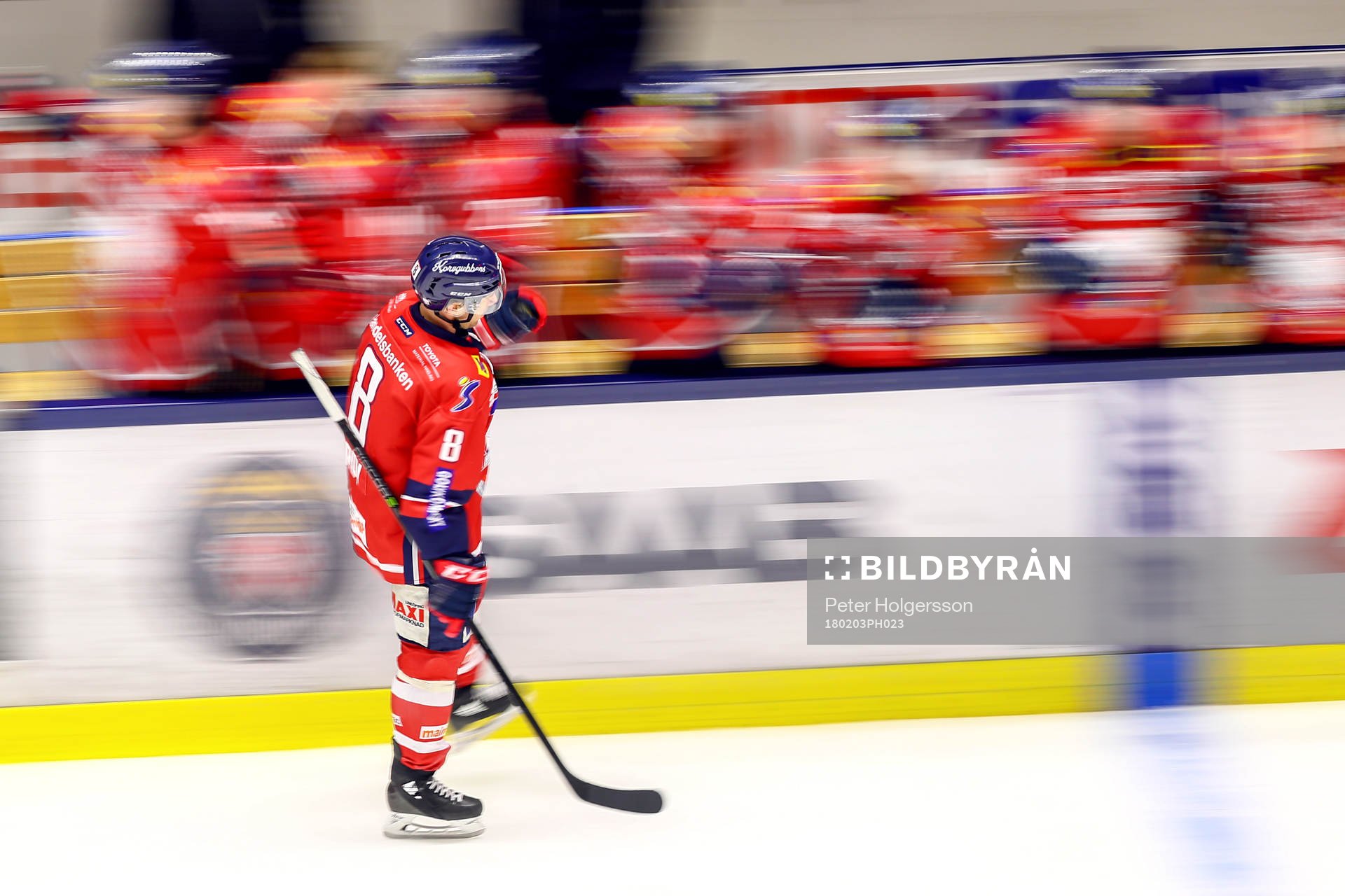 Linköpings Derek Roy jublar med lagkamrater