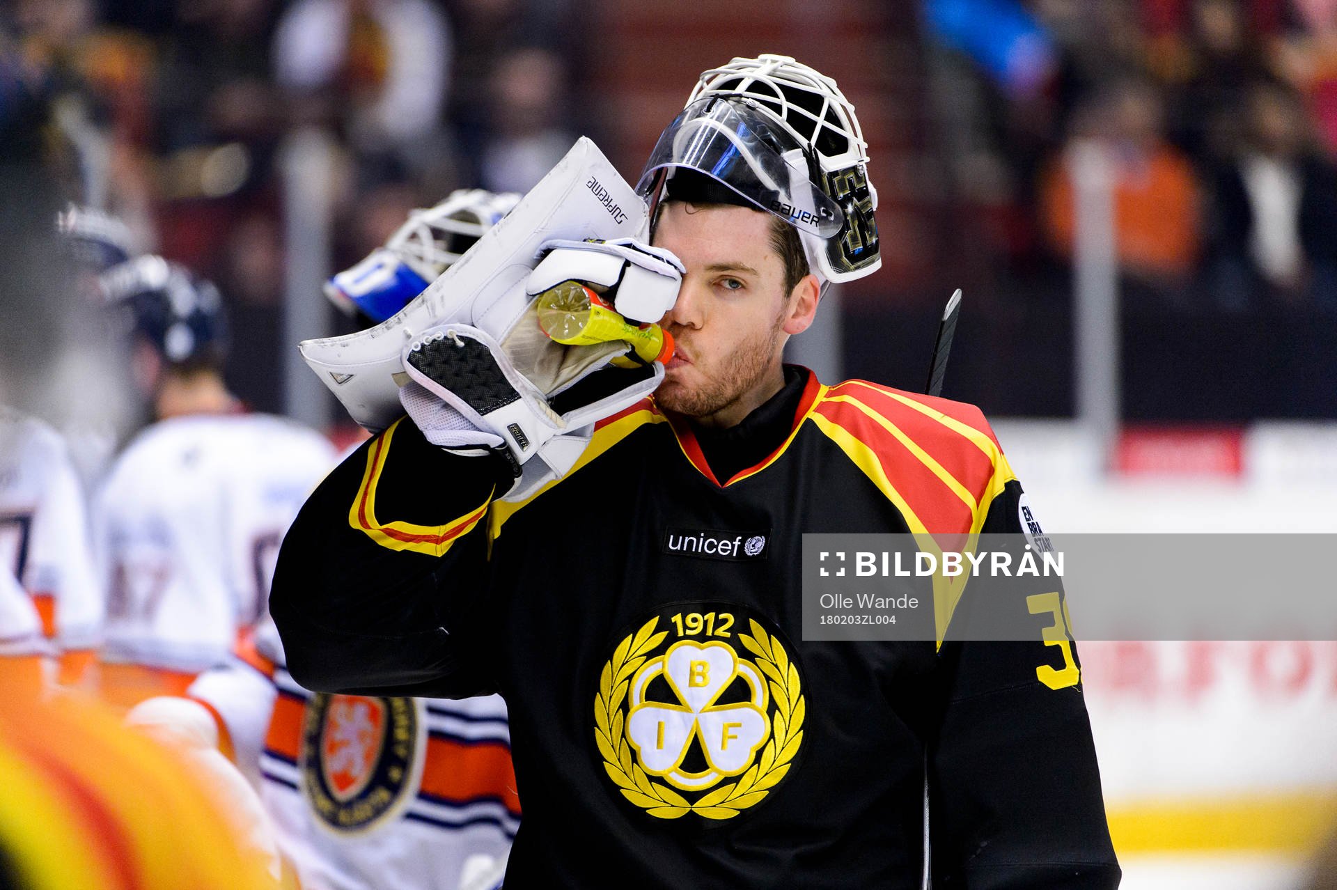 Brynäs målvakt Linus Fernström