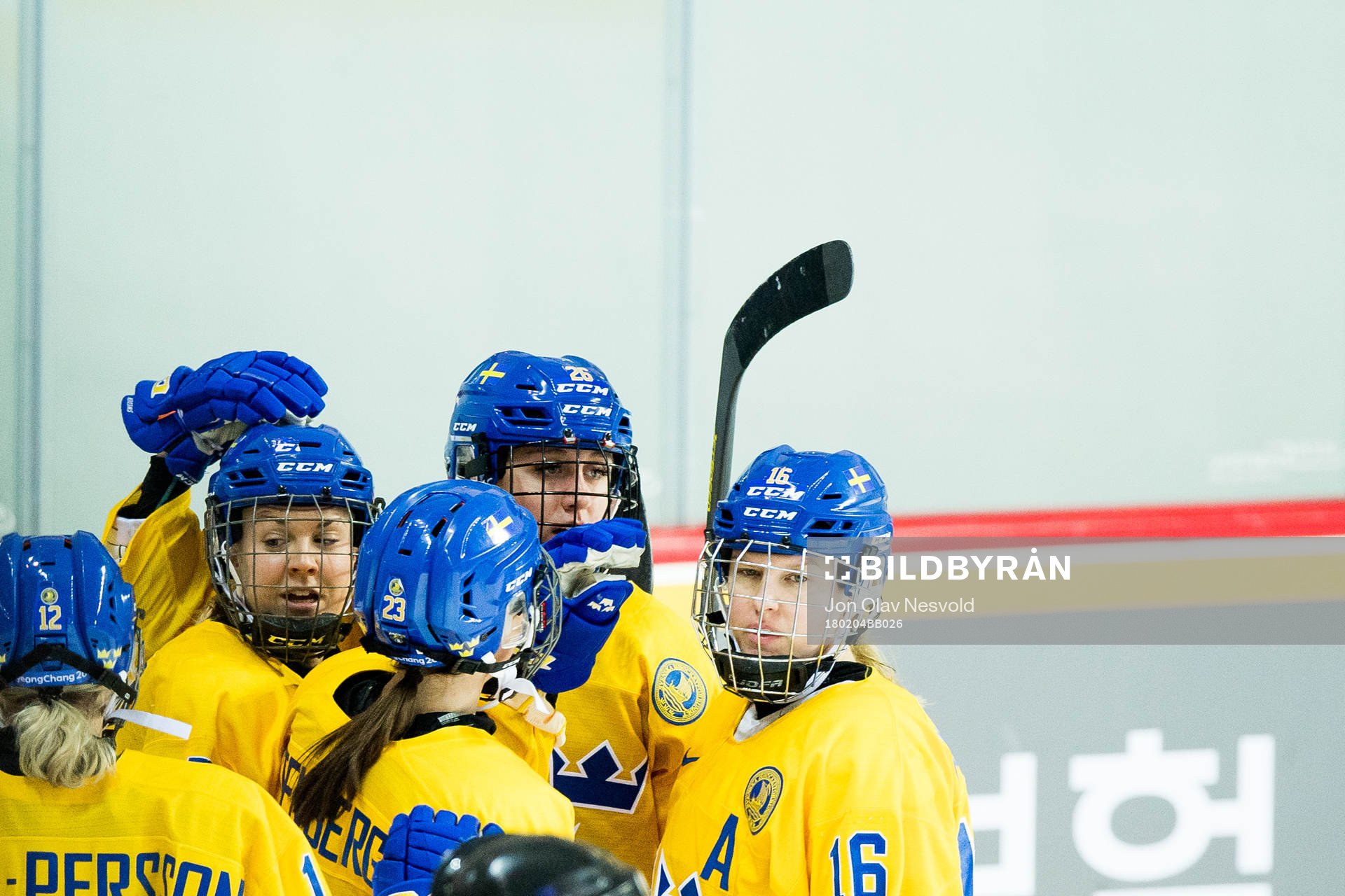 The swefish players celebrate 1-0