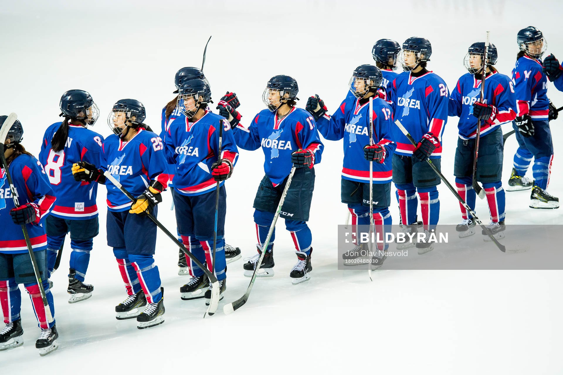 The team of Korea