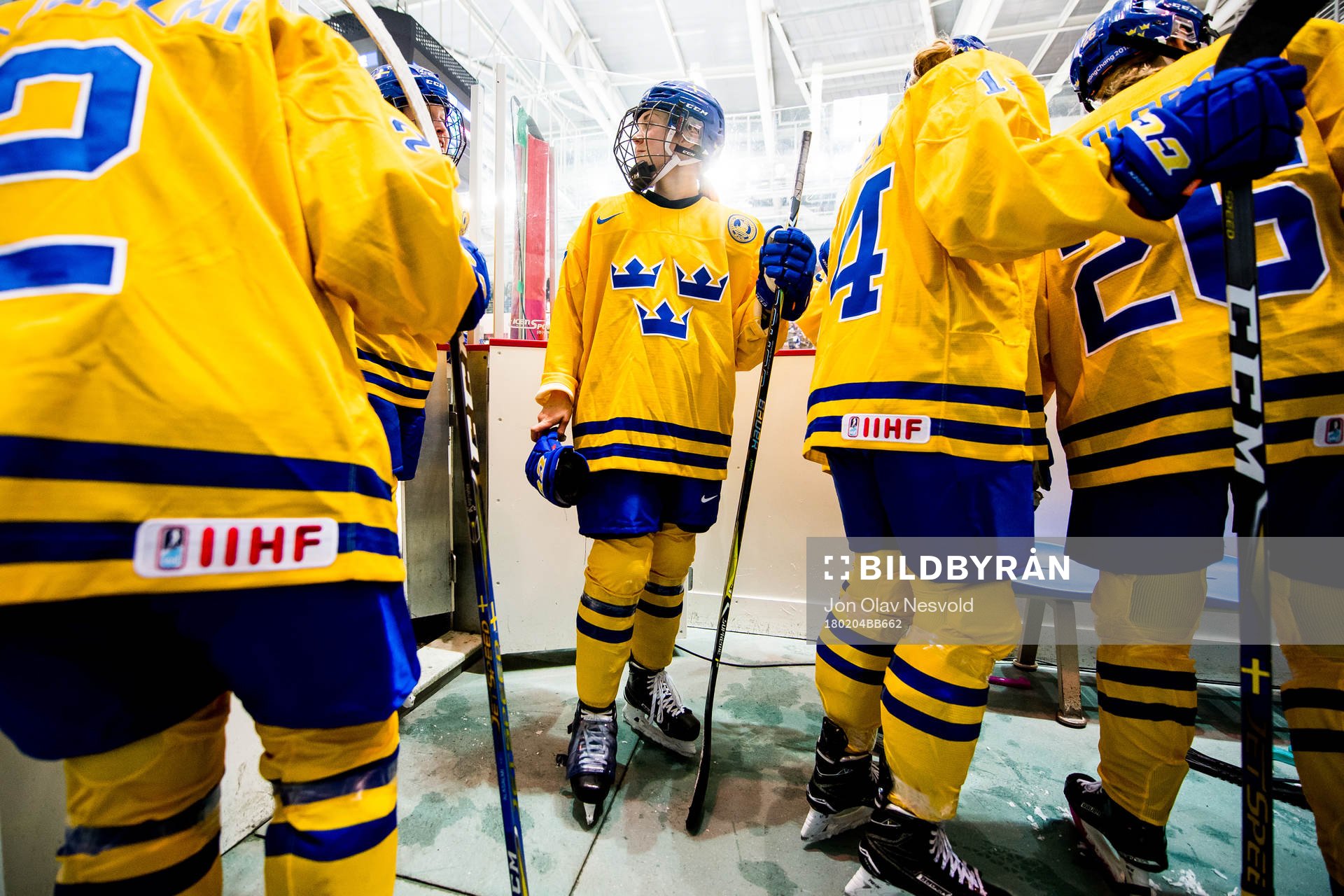 The swedish players