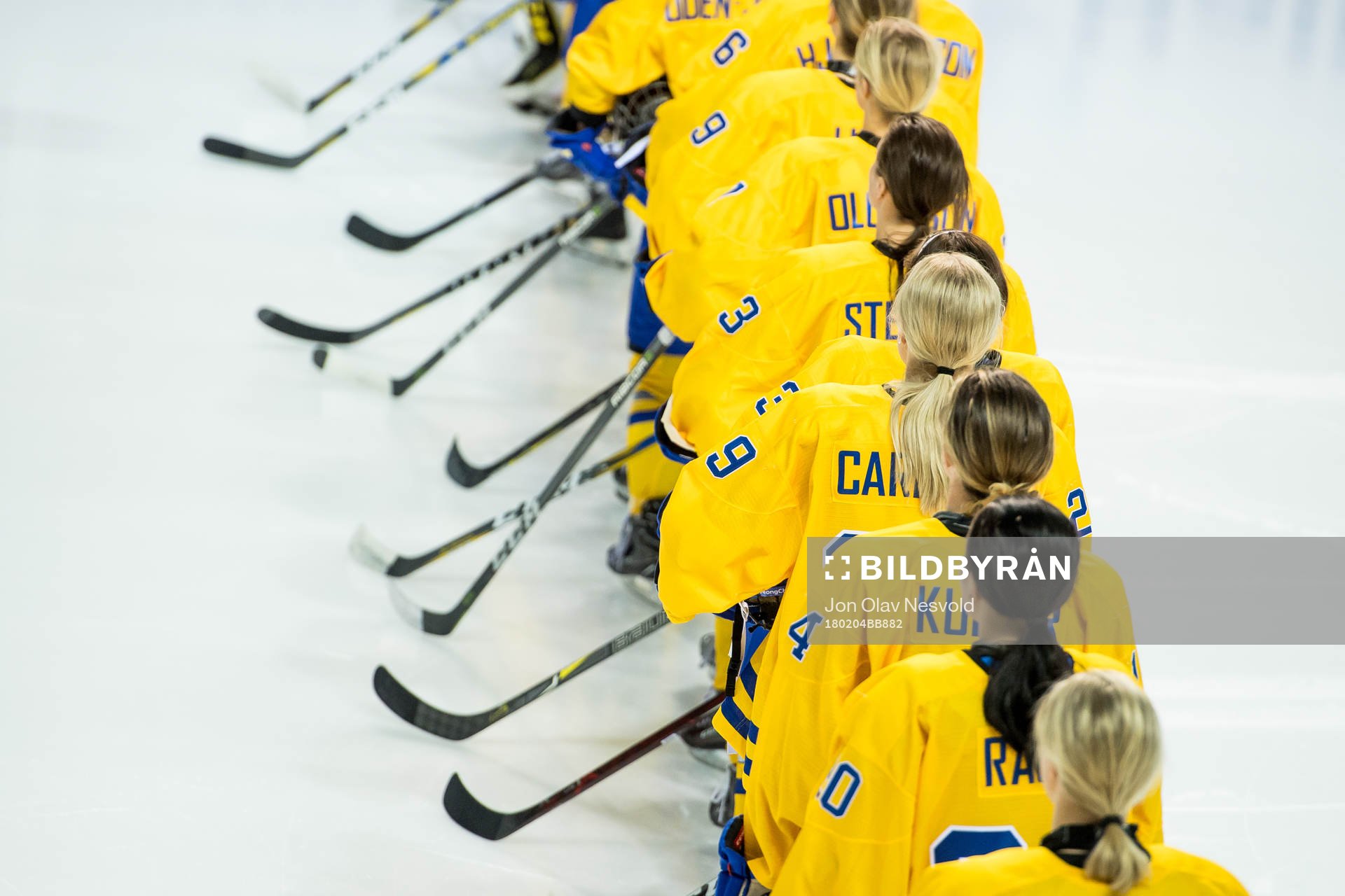 The Swedish players line up