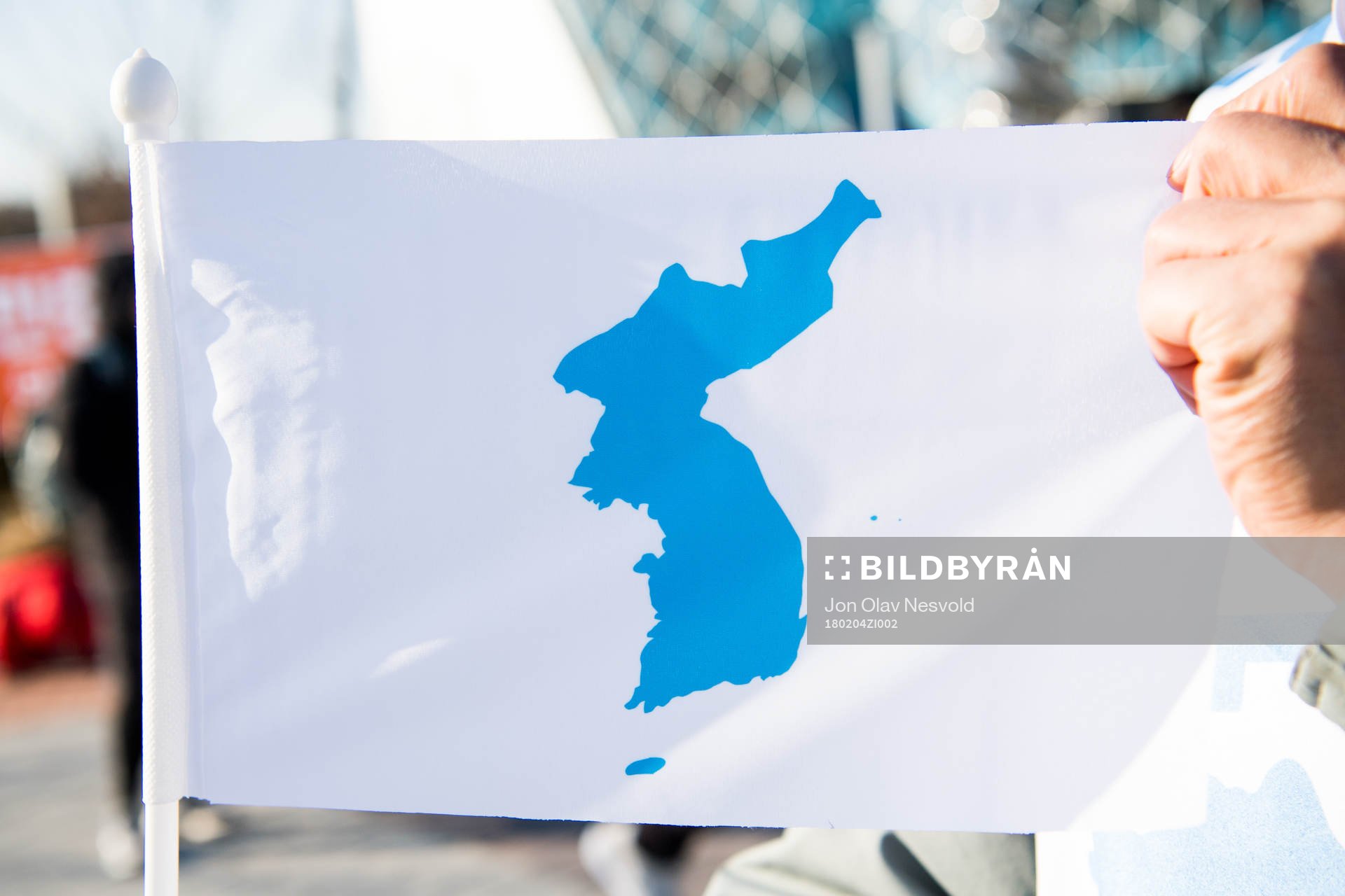 The flag of a united Korea is seen