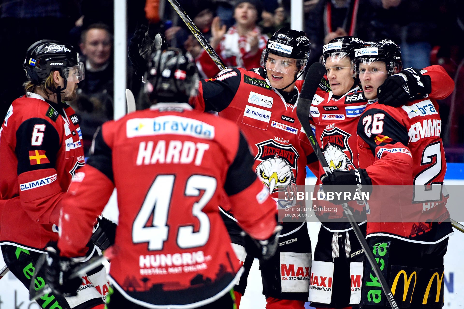 Malmö Redhawks Max Görtz jublar med lagkamrater