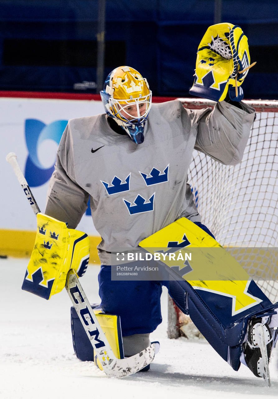 Magnus Hellberg goalkeeper of Sweden