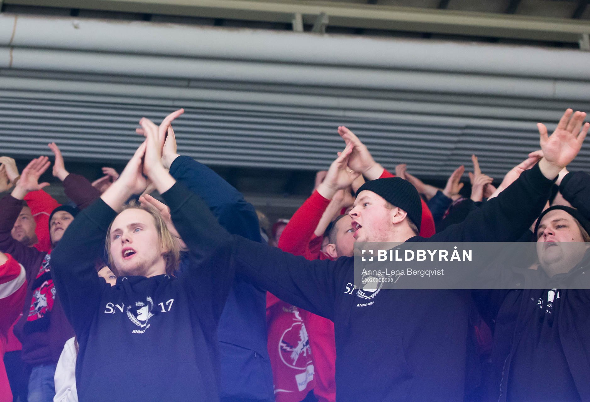 Vita Hästens supporters jublar