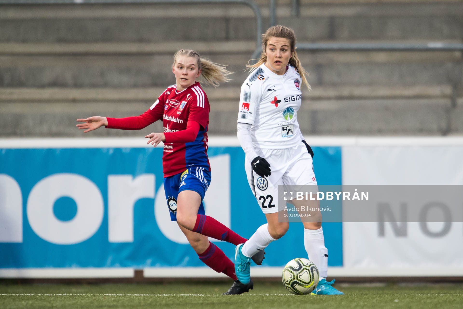 Rosengårds Fiona Brown