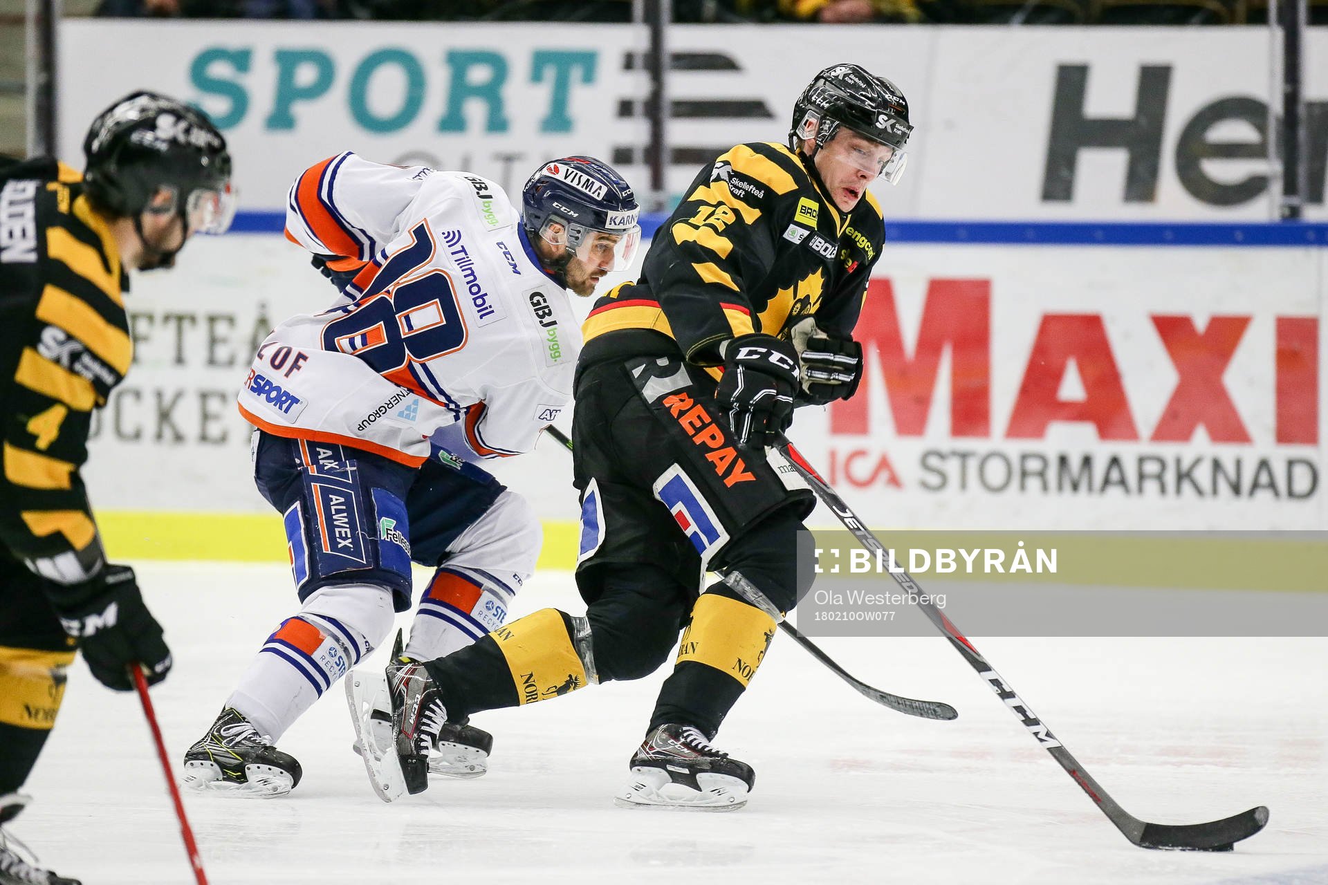 Skellefteås Adam Pettersson