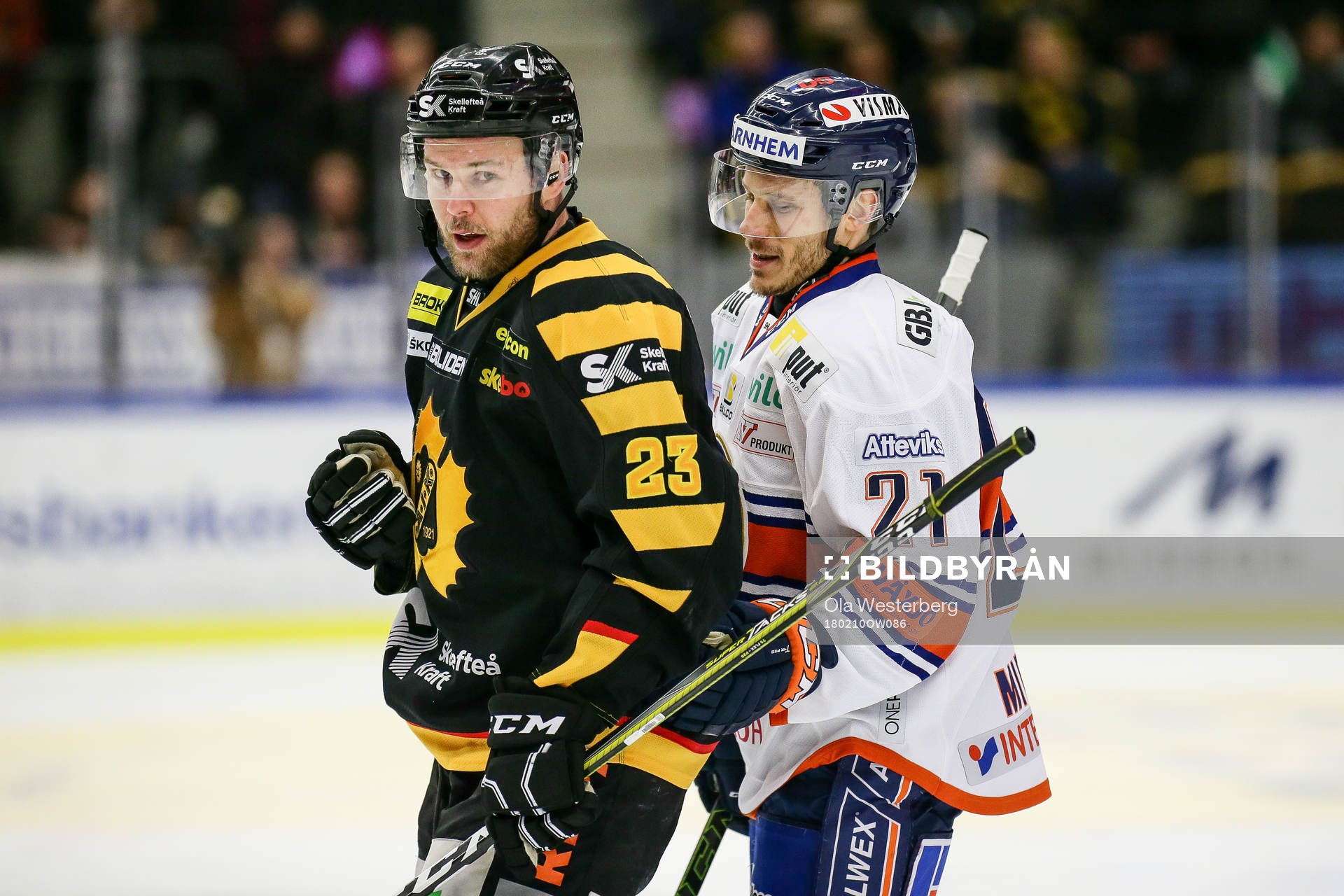 Skellefteås Mark Katic