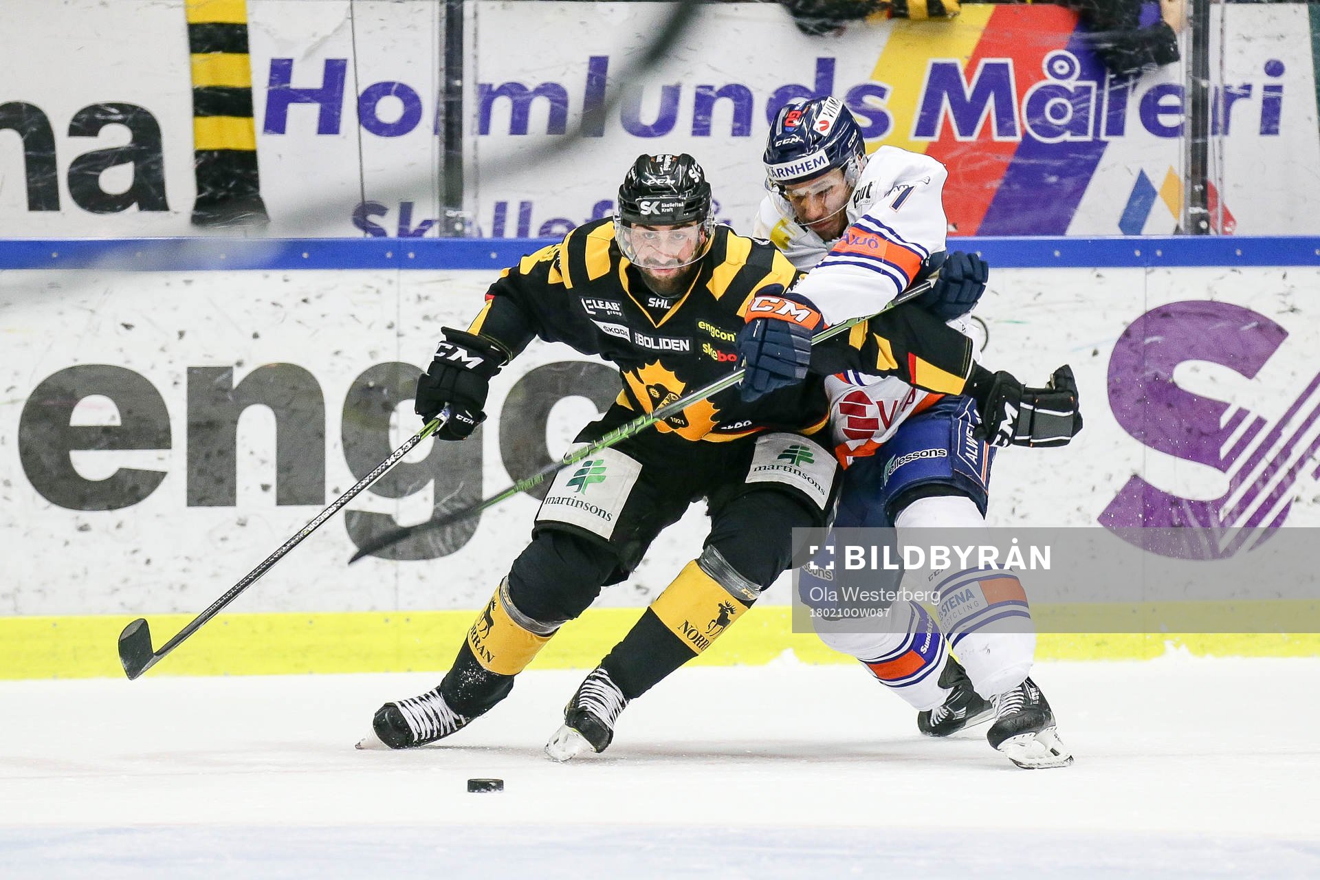 Skellefteås Johan Alm