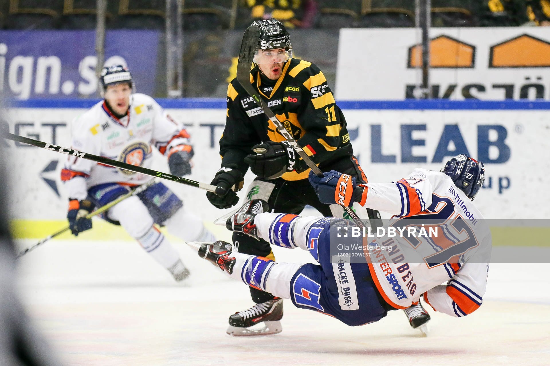 Skellefteås Henrik Hetta