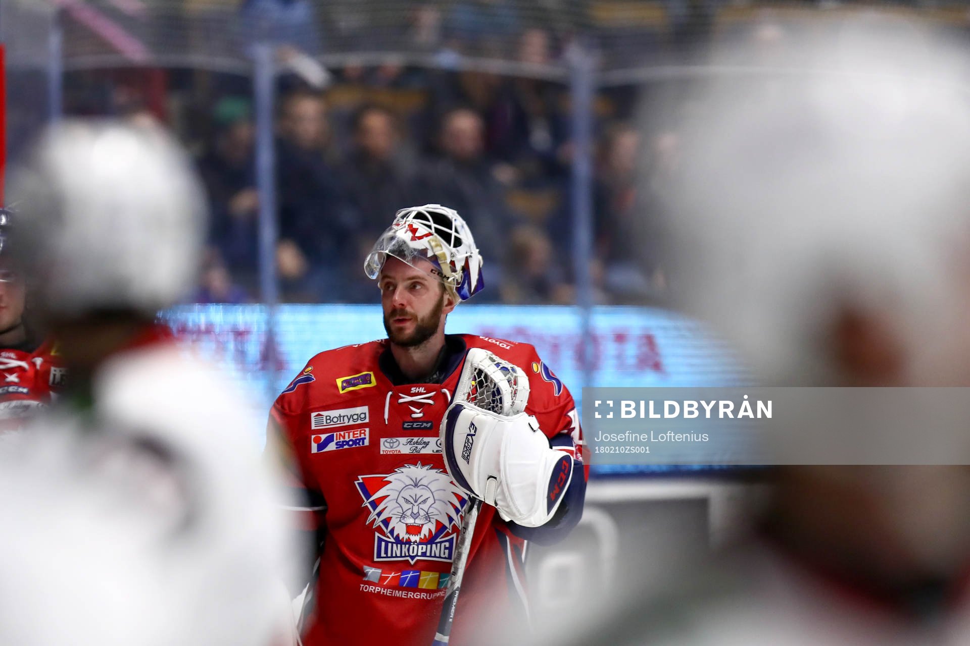 Linköpings målvakt Jonas Gustavsson