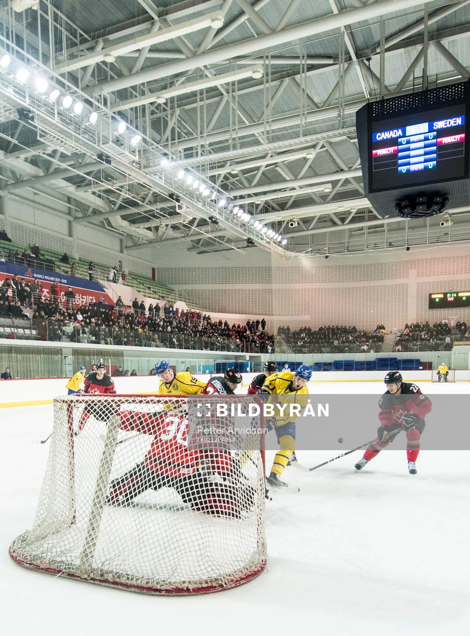 Alexander Bergström of Sweden worrier against Goaltender